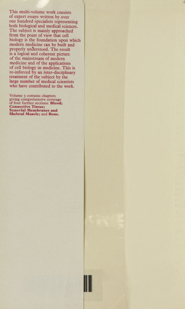 digitised image 2
