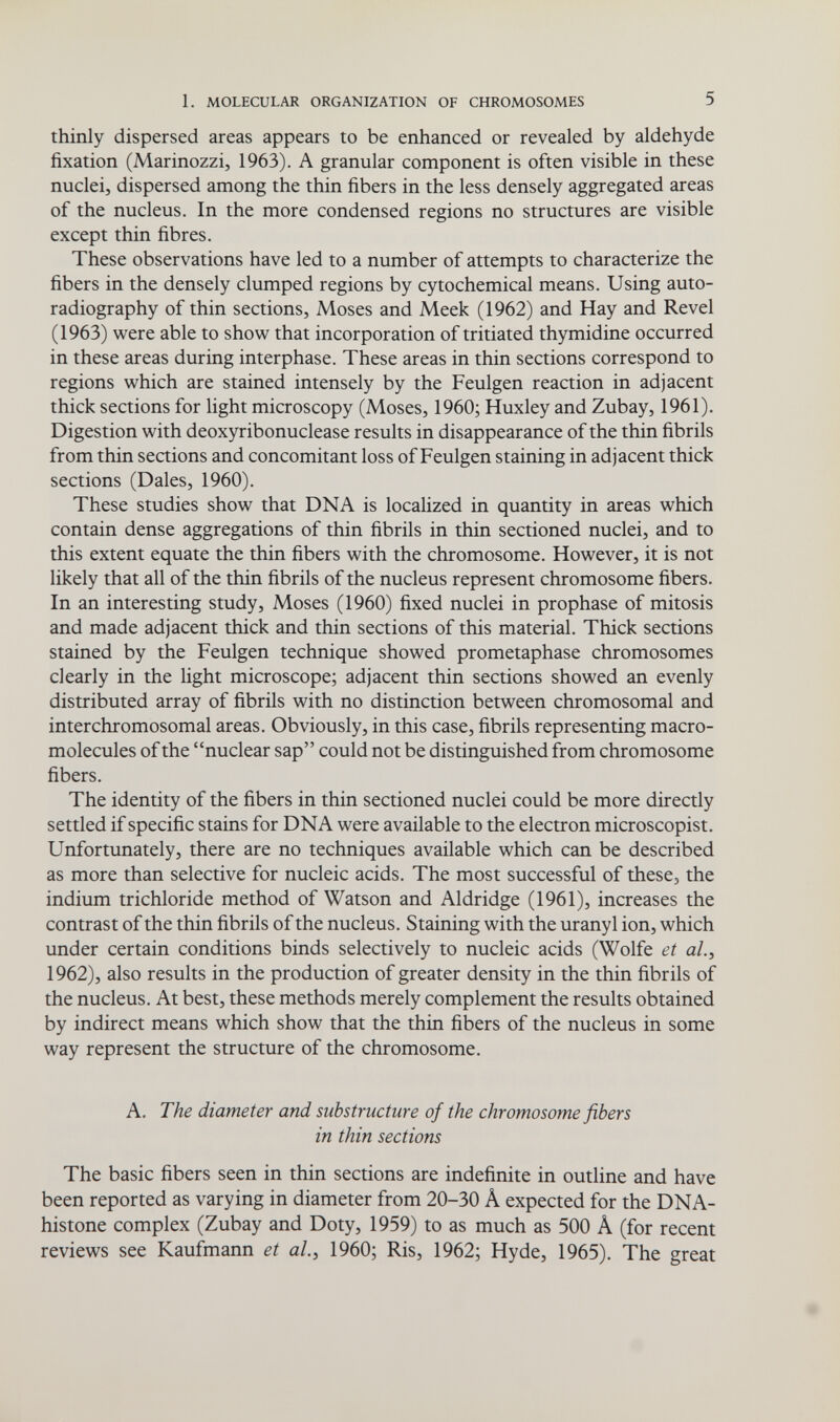 1. MOLECULAR ORGANIZATION OF CHROMOSOMES 5 thinly dispersed areas appears to be enhanced or revealed by aldehyde fixation (Marinozzi, 1963). A granular component is often visible in these nuclei, dispersed among the thin fibers in the less densely aggregated areas of the nucleus. In the more condensed regions no structures are visible except thin fibres. These observations have led to a number of attempts to characterize the fibers in the densely clumped regions by cytochemical means. Using auto¬ radiography of thin sections, Moses and Meek (1962) and Hay and Revel (1963) were able to show that incorporation of tritiated thymidine occurred in these areas during interphase. These areas in thin sections correspond to regions which are stained intensely by the Feulgen reaction in adjacent thick sections for light microscopy (Moses, 1960; Huxley and Zubay, 1961). Digestion with deoxyribonuclease results in disappearance of the thin fibrils from thin sections and concomitant loss of Feulgen staining in adjacent thick sections (Dales, 1960). These studies show that DNA is localized in quantity in areas which contain dense aggregations of thin fibrils in thin sectioned nuclei, and to this extent equate the thin fibers with the chromosome. However, it is not likely that all of the thin fibrils of the nucleus represent chromosome fibers. In an interesting study, Moses (1960) fixed nuclei in prophase of mitosis and made adjacent thick and thin sections of this material. Thick sections stained by the Feulgen technique showed prometaphase chromosomes clearly in the light microscope; adjacent thin sections showed an evenly distributed array of fibrils with no distinction between chromosomal and interchromosomal areas. Obviously, in this case, fibrils representing macro- molecules of the nuclear sap could not be distinguished from chromosome fibers. The identity of the fibers in thin sectioned nuclei could be more directly settled if specific stains for DNA were available to the electron microscopist. Unfortunately, there are no techniques available which can be described as more than selective for nucleic acids. The most successful of these, the indium trichloride method of Watson and Aldridge (1961), increases the contrast of the thin fibrils of the nucleus. Staining with the uranyl ion, which under certain conditions binds selectively to nucleic acids (Wolfe et al., 1962), also results in the production of greater density in the thin fibrils of the nucleus. At best, these methods merely complement the results obtained by indirect means which show that the thin fibers of the nucleus in some way represent the structure of the chromosome. A. The diameter and substructure of the chromosome fibers in thin sections The basic fibers seen in thin sections are indefinite in outline and have been reported as varying in diameter from 20-30 Â expected for the DNA- histone complex (Zubay and Doty, 1959) to as much as 500 Â (for recent reviews see Kaufmann et al, 1960; Ris, 1962; Hyde, 1965). The great