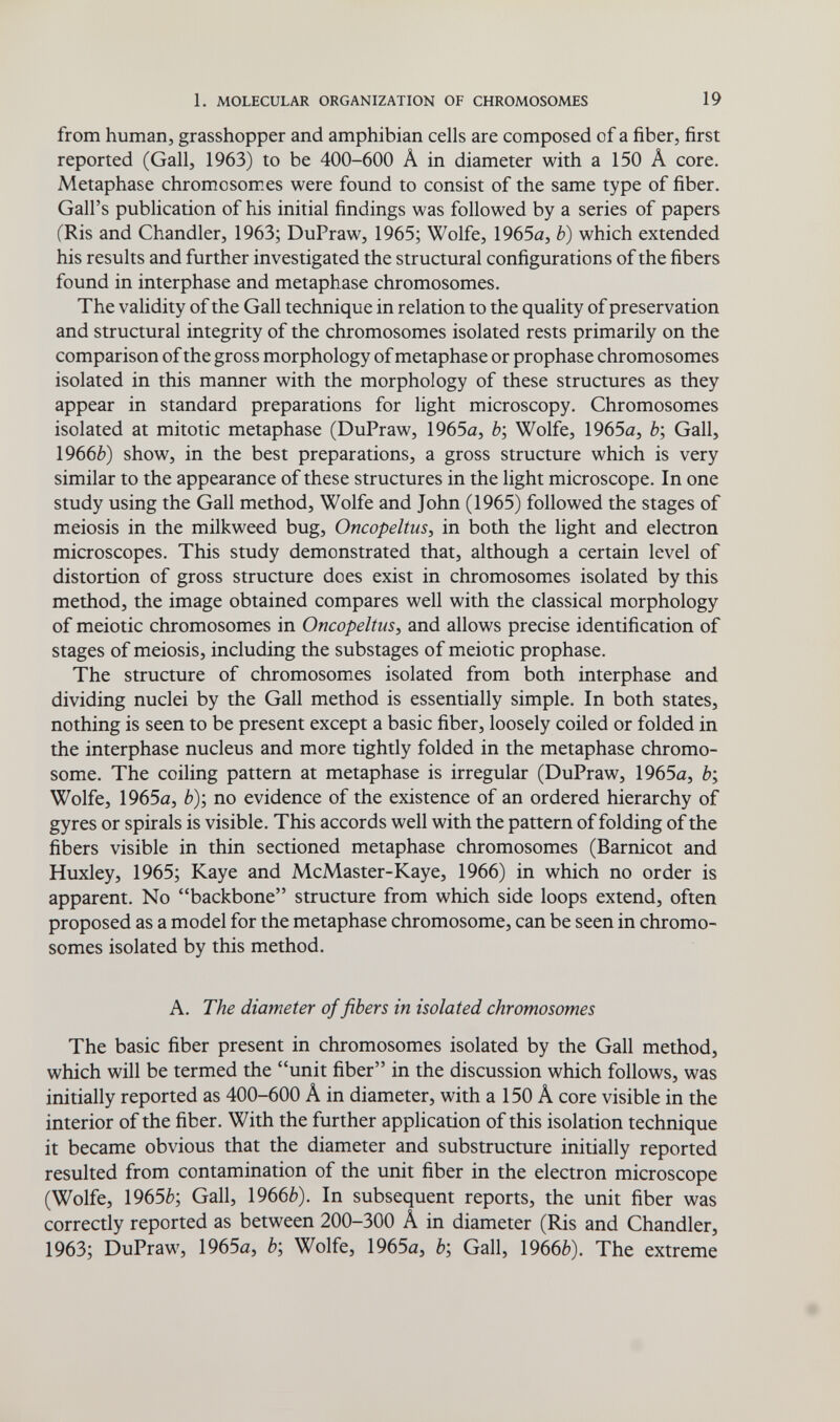 1. MOLECULAR ORGANIZATION OF CHROMOSOMES 19 from human, grasshopper and amphibian cells are composed of a fiber, first reported (Gall, 1963) to be 400-600 A in diameter with a 150 Â core. Metaphase chromosomes were found to consist of the same type of fiber. Gall's publication of his initial findings was followed by a series of papers (Ris and Chandler, 1963; DuPraw, 1965; Wolfe, 1965a, b) which extended his results and further investigated the structural configurations of the fibers found in interphase and metaphase chromosomes. The validity of the Gall technique in relation to the quality of preservation and structural integrity of the chromosomes isolated rests primarily on the comparison of the gross morphology of metaphase or prophase chromosomes isolated in this manner with the morphology of these structures as they appear in standard preparations for light microscopy. Chromosomes isolated at mitotic metaphase (DuPraw, 1965a, è; Wolfe, 1965a, è; Gall, 1966è) show, in the best preparations, a gross structure which is very similar to the appearance of these structures in the light microscope. In one study using the Gall method, Wolfe and John (1965) followed the stages of meiosis in the milkweed bug, Oncopeltus, in both the light and electron microscopes. This study demonstrated that, although a certain level of distortion of gross structure does exist in chromosomes isolated by this method, the image obtained compares well with the classical morphology of meiotic chromosomes in Oncopeltus, and allows precise identification of stages of meiosis, including the substages of meiotic prophase. The structure of chromosomes isolated from both interphase and dividing nuclei by the Gall method is essentially simple. In both states, nothing is seen to be present except a basic fiber, loosely coiled or folded in the interphase nucleus and more tightly folded in the metaphase chromo¬ some. The coiling pattern at metaphase is irregular (DuPraw, 1965a, è; Wolfe, 1965a, b)\ no evidence of the existence of an ordered hierarchy of gyres or spirals is visible. This accords well with the pattern of folding of the fibers visible in thin sectioned metaphase chromosomes (Barnicot and Huxley, 1965; Kaye and McMaster-Kaye, 1966) in which no order is apparent. No backbone structure from which side loops extend, often proposed as a model for the metaphase chromosome, can be seen in chromo¬ somes isolated by this method. A. The diameter of fibers in isolated chromosomes The basic fiber present in chromosomes isolated by the Gall method, which will be termed the unit fiber in the discussion which follows, was initially reported as 400-600 Â in diameter, with a 150 Â core visible in the interior of the fiber. With the further application of this isolation technique it became obvious that the diameter and substructure initially reported resulted from contamination of the unit fiber in the electron microscope (Wolfe, 1965è; Gall, 1966è). In subsequent reports, the unit fiber was correctly reported as between 200-300 A in diameter (Ris and Chandler, 1963; DuPraw, 1965a, è; Wolfe, 1965a, è; Gall, 1966è). The extreme