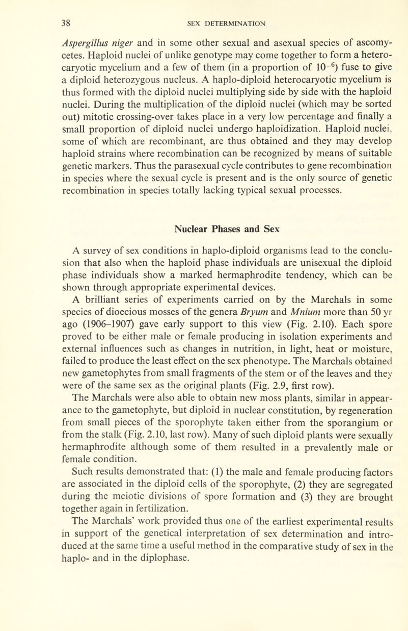 38 SEX DETERMINATION Aspergillus niger and in some other sexual and asexual species of ascomy- cetes. Haploid nuclei of unlike genot)фe may come together to form a hetero- caryotic mycelium and a few of them (in a proportion of 10-^) fuse to give a diploid heterozygous nucleus. A haplo-diploid heterocaryotic mycelium is thus formed with the diploid nuclei multiplying side by side with the haploid nuclei. During the multiplication of the diploid nuclei (which may be sorted out) mitotic crossing-over takes place in a very low percentage and finally a small proportion of diploid nuclei undergo haploidization. Haploid nuclei, some of which are recombinant, are thus obtained and they may develop haploid strains where recombination can be recognized by means of suitable genetic markers. Thus the parasexual cycle contributes to gene recombination in species where the sexual cycle is present and is the only source of genetic recombination in species totally lacking typical sexual processes. Nuclear Phases and Sex A survey of sex conditions in haplo-diploid organisms lead to the conclu¬ sion that also when the haploid phase individuals are unisexual the diploid phase individuals show a marked hermaphrodite tendency, which can be shown through appropriate experimental devices. A briUiant series of experiments carried on by the Marchals in some species of dioecious mosses of the genera Bryum and Mnium more than 50 yr ago (1906-1907) gave early support to this view (Fig. 2.10). Each spore proved to be either male or female producing in isolation experiments and external influences such as changes in nutrition, in light, heat or moisture, failed to produce the least effect on the sex phenotype. The Marchals obtained new gametophytes from small fragments of the stem or of the leaves and they were of the same sex as the original plants (Fig. 2.9, first row). The Marchals were also able to obtain new moss plants, similar in appear¬ ance to the gametophyte, but diploid in nuclear constitution, by regeneration from small pieces of the sporophyte taken either from the sporangium or from the stalk (Fig. 2.10, last row). Many of such diploid plants were sexually hermaphrodite although some of them resulted in a prevalently male or female condition. Such results demonstrated that: (1) the male and female producing factors are associated in the diploid cells of the sporophyte, (2) they are segregated during the meiotic divisions of spore formation and (3) they are brought together again in fertiUzation. The Marchals' work provided thus one of the earliest experimental results in support of the genetical interpretation of sex determination and intro¬ duced at the same time a useful method in the comparative study of sex in the haplo- and in the diplophase.
