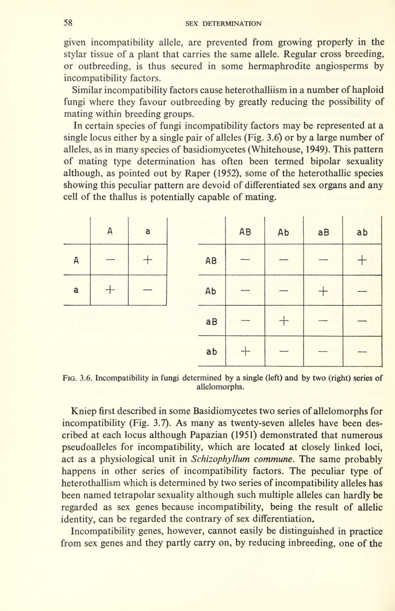 58 sex determination given incompatibility allele, are prevented from growing properly in the stylar tissue of a plant that carries the same allele. Regular cross breeding, or outbreeding, is thus secured in some hermaphrodite angiosperms by incompatibility factors. Similar incompatibility factors cause heterothalliism in a number of haploid fungi where they favour outbreeding by greatly reducing the possibility of mating within breeding groups. In certain species of fungi incompatibihty factors may be represented at a single locus either by a single pair of alleles (Fig. 3.6) or by a large number of alleles, as in many species of basidiomycetes (Whitehouse, 1949). This pattern of mating type determination has often been termed bipolar sexuahty although, as pointed out by Raper (1952), some of the heterothallic species showing this peculiar pattern are devoid of differentiated sex organs and any cell of the thallus is potentially capable of mating. Fig. 3.6. Incompatibility in fungi determined by a single (left) and by two (right) series of allelomorphs. Kniep first described in some Basidiomycetes two series of allelomorphs for incompatibility (Fig. 3.7). As many as twenty-seven alleles have been des¬ cribed at each locus although Papazian (1951) demonstrated that numerous pseudoalleles for incompatibility, which are located at closely linked loci, act as a physiological unit in Schizophyllum commune. The same probably happens in other series of incompatibility factors. The peculiar type of heterothallism which is determined by two series of incompatibility alleles has been named tetrapolar sexuality although such multiple alleles can hardly be regarded as sex genes because incompatibility, being the result of allelic identity, can be regarded the contrary of sex differentiation. Incompatibility genes, however, cannot easily be distinguished in practice from sex genes and they partly carry on, by reducing inbreeding, one of the