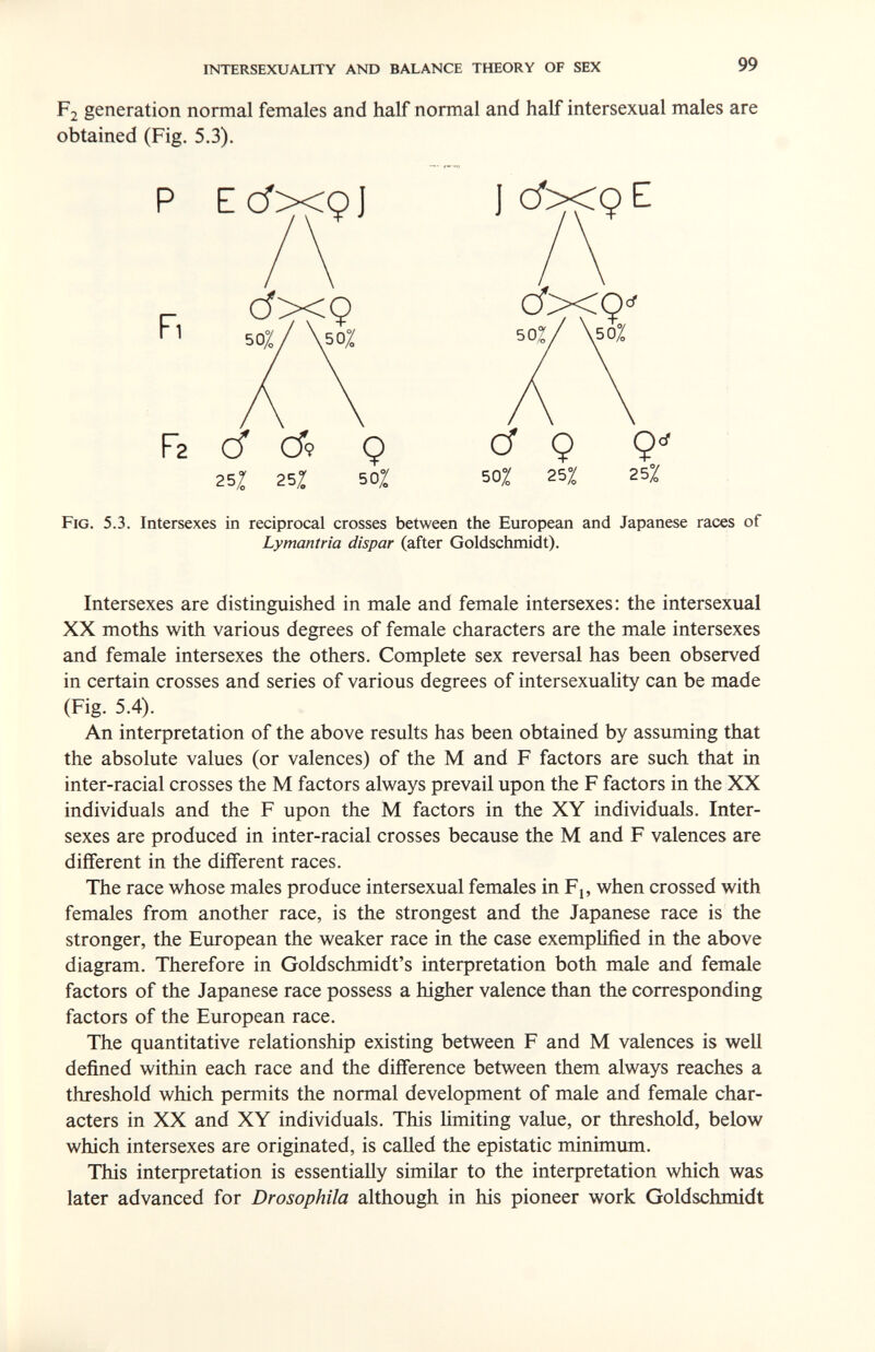 intersexuality and balance theory of sex 99 F2 generation normal females and half normal and half intersexual males are obtained (Fig. 5.3). Fig. 5.3. Intersexes in reciprocal crosses between the European and Japanese races of Lymantria dispar (after Goldschmidt). Intersexes are distinguished in male and female intersexes: the intersexual XX moths with various degrees of female characters are the male intersexes and female intersexes the others. Complete sex reversal has been observed in certain crosses and series of various degrees of intersexuality can be made An interpretation of the above results has been obtained by assuming that the absolute values (or valences) of the M and F factors are such that in inter-racial crosses the M factors always prevail upon the F factors in the XX individuals and the F upon the M factors in the XY individuals. Inter¬ sexes are produced in inter-racial crosses because the M and F valences are different in the different races. The race whose males produce intersexual females in Fj, when crossed with females from another race, is the strongest and the Japanese race is the stronger, the European the weaker race in the case exemphfied in the above diagram. Therefore in Goldschmidt's interpretation both male and female factors of the Japanese race possess a higher valence than the corresponding factors of the European race. The quantitative relationship existing between F and M valences is well defined within each race and the difference between them always reaches a threshold which permits the normal development of male and female char¬ acters in XX and XY individuals. This hmiting value, or threshold, below which intersexes are originated, is called the epistatic minimum. This interpretation is essentially similar to the interpretation which was later advanced for Drosophila although in his pioneer work Goldschmidt Fa d СГ? Q 24 252: 50: 50^ 2Ъ% 25^ (Fig. 5.4).