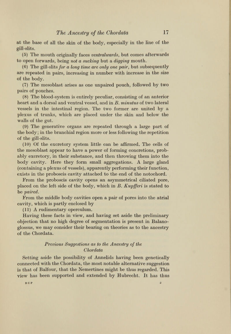 at the base of all the skin of the body, especially in the line of the gill-slits. (5) The mouth originally faces ventralwards, but comes afterwards to open forwards, being not a sucking but a digging mouth. (6) The gill-slits for a long time are only one pair, but subsequently are repeated in pairs, increasing in number with increase in the size of the body. (7) The mesoblast arises as one unpaired pouch, followed by two pairs of pouches. (8) The blood-system is entirely peculiar, consisting of an anterior heart and a dorsal and ventral vessel, and in B. minutus of two lateral vessels in the intestinal region. The two former are united by a plexus of trunks, which are placed under the skin and below the walls of the gut. (9) The generative organs are repeated through a large part of the body; in the branchial region more or less following the repetition of the gill-slits. (10) Of the excretory system little can be affirmed. The cells of the mesoblast appear to have a power of forming concretions, prob ably excretory, in their substance, and then throwing them into the body cavity. Here they form small aggregations. A large gland (containing a plexus of vessels), apparently performing their function, exists in the proboscis cavity attached to the end of the notochord. From the proboscis cavity opens an asymmetrical ciliated pore, placed on the left side of the body, which in B. Kupfferi is stated to be paired. From the middle body cavities open a pair of pores into the atrial cavity, which is partly enclosed by (11) A rudimentary operculum. Having these facts in view, and having set aside the preliminary objection that no high degree of segmentation is present in Balano- glossus, we may consider their bearing on theories as to the ancestry of the Chordata. Previous Suggestions as to the Ancestry of the Chordata Setting aside the possibility of Annelids having been genetically connected with the Chordata, the most notable alternative suggestion is that of Balfour, that the Nemertines might be thus regarded. This view has been supported and extended by Hubrecht. It has thus