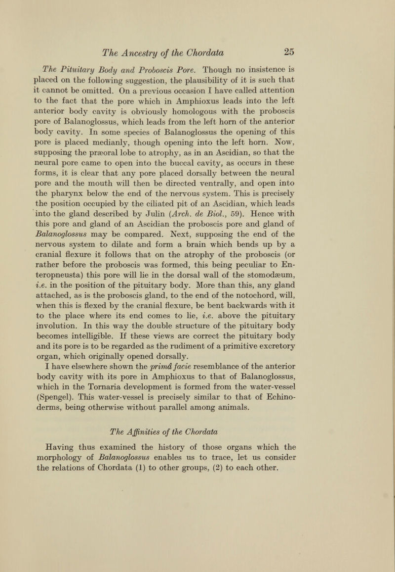 The Pituitary Body and Proboscis Pore. Though no insistence is placed on the following suggestion, the plausibility of it is such that it cannot be omitted. On a previous occasion I have called attention to the fact that the pore which in Amphioxus leads into the left anterior body cavity is obviously homologous with the proboscis pore of Balanoglossus, which leads from the left horn of the anterior body cavity. In some species of Balanoglossus the opening of this pore is placed medianly, though opening into the left horn. Now, supposing the praeoral lobe to atrophy, as in an Ascidian, so that the neural pore came to open into the buccal cavity, as occurs in these forms, it is clear that any pore placed dorsally between the neural pore and the mouth will then be directed ventrally, and open into the pharynx below the end of the nervous system. This is precisely the position occupied by the ciliated pit of an Ascidian, which leads into the gland described by Julin (Arch, de Biol., 59). Hence with this pore and gland of an Ascidian the proboscis pore and gland of Balanoglossus may be compared. Next, supposing the end of the nervous system to dilate and form a brain which bends up by a cranial flexure it follows that on the atrophy of the proboscis (or rather before the proboscis was formed, this being peculiar to En- teropneusta) this pore will lie in the dorsal wall of the stomodseum, i.e. in the position of the pituitary body. More than this, any gland attached, as is the proboscis gland, to the end of the notochord, will, w T hen this is flexed by the cranial flexure, be bent backwards with it to the place where its end comes to lie, i.e. above the pituitary involution. In this way the double structure of the pituitary body becomes intelligible. If these views are correct the pituitary body and its pore is to be regarded as the rudiment of a primitive excretory organ, which originally opened dorsally. I have elsewhere shown the primd facie resemblance of the anterior body cavity with its pore in Amphioxus to that of Balanoglossus, which in the Tornaria development is formed from the water-vessel (Spengel). This water-vessel is precisely similar to that of Echino- derms, being otherwise without parallel among animals. The Affinities of the Chordata Having thus examined the history of those organs which the morphology of Balanoglossus enables us to trace, let us consider the relations of Chordata (1) to other groups, (2) to each other.