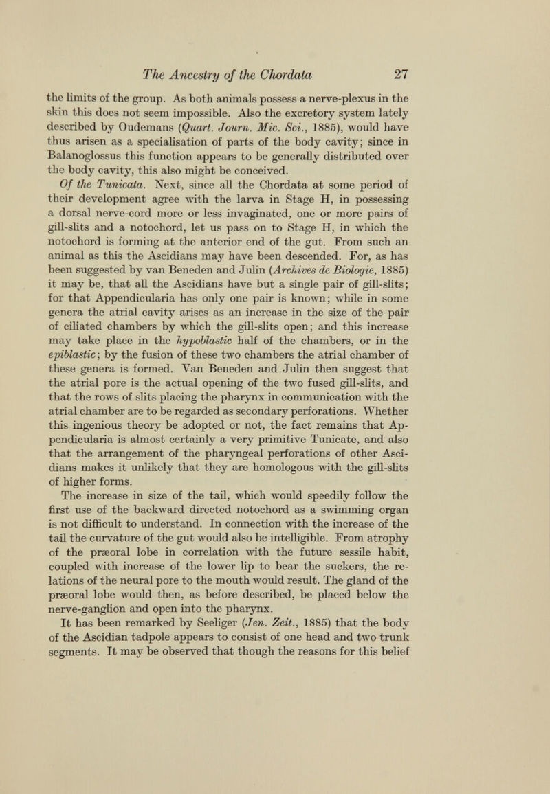 the limits of the group. As both animals possess a nerve-plexus in the skin this does not seem impossible. Also the excretory system lately described by Oudemans (Quart. Journ. Mic. Sci., 1885), would have thus arisen as a specialisation of parts of the body cavity; since in Balanoglossus this function appears to be generally distributed over the body cavity, this also might be conceived. Of the Tunicata. Next, since all the Chordata at some period of their development agree with the larva in Stage H, in possessing a dorsal nerve-cord more or less invaginated, one or more pairs of gill-slits and a notochord, let us pass on to Stage H, in which the notochord is forming at the anterior end of the gut. From such an animal as this the Ascidians may have been descended. For, as has been suggested by van Beneden and Julin ( Archives de Biologie, 1885) it may be, that all the Ascidians have but a single pair of gill-slits; for that Appendicularia has only one pair is known; while in some genera the atrial cavity arises as an increase in the size of the pair of ciliated chambers by which the gill-slits open; and this increase may take place in the hypoblastic half of the chambers, or in the epiblastic ; by the fusion of these two chambers the atrial chamber of these genera is formed. Van Beneden and Julin then suggest that the atrial pore is the actual opening of the two fused gill-slits, and that the rows of slits placing the pharynx in communication with the atrial chamber are to be regarded as secondary perforations. Whether this ingenious theory be adopted or not, the fact remains that Ap pendicularia is almost certainly a very primitive Tunicate, and also that the arrangement of the pharyngeal perforations of other Asci dians makes it unlikely that they are homologous with the gill-slits of higher forms. The increase in size of the tail, which would speedily follow the first use of the backward directed notochord as a swimming organ is not difficult to understand. In connection with the increase of the tail the curvature of the gut would also be intelligible. From atrophy of the prseoral lobe in correlation with the future sessile habit, coupled with increase of the lower lip to bear the suckers, the re lations of the neural pore to the mouth would result. The gland of the prseoral lobe would then, as before described, be placed below the nerve-ganglion and open into the pharynx. It has been remarked by Seeliger (Jen. Zeit., 1885) that the body of the Ascidian tadpole appears to consist of one head and two trunk segments. It may be observed that though the reasons for this belief