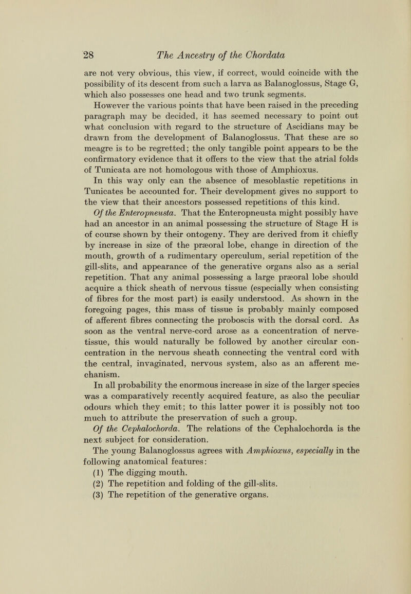 are not very obvious, this view, if correct, would coincide with the possibility of its descent from such a larva as Balanoglossus, Stage G, which also possesses one head and two trunk segments. However the various points that have been raised in the preceding paragraph may be decided, it has seemed necessary to point out what conclusion with regard to the structure of Ascidians may be drawn from the development of Balanoglossus. That these are so meagre is to be regretted; the only tangible point appears to be the confirmatory evidence that it offers to the view that the atrial folds of Tunicata are not homologous with those of Amphioxus. In this way only can the absence of mesoblastic repetitions in Tunicates be accounted for. Their development gives no support to the view that their ancestors possessed repetitions of this kind. Of the Enteropneusta. That the Enteropneusta might possibly have had an ancestor in an animal possessing the structure of Stage H is of course shown by their ontogeny. They are derived from it chiefly by increase in size of the prseoral lobe, change in direction of the mouth, growth of a rudimentary operculum, serial repetition of the gill-slits, and appearance of the generative organs also as a serial repetition. That any animal possessing a large prseoral lobe should acquire a thick sheath of nervous tissue (especially when consisting of fibres for the most part) is easily understood. As shown in the foregoing pages, this mass of tissue is probably mainly composed of afferent fibres connecting the proboscis with the dorsal cord. As soon as the ventral nerve-cord arose as a concentration of nerve- tissue, this would naturally be followed by another circular con centration in the nervous sheath connecting the ventral cord with the central, invaginated, nervous system, also as an afferent me chanism. In all probability the enormous increase in size of the larger species was a comparatively recently acquired feature, as also the peculiar odours which they emit; to this latter power it is possibly not too much to attribute the preservation of such a group. Of the Cephalochorda. The relations of the Cephalochorda is the next subject for consideration. The young Balanoglossus agrees with Amphioxus, especially in the following anatomical features: (1) The digging mouth. (2) The repetition and folding of the gill-slits. (3) The repetition of the generative organs.