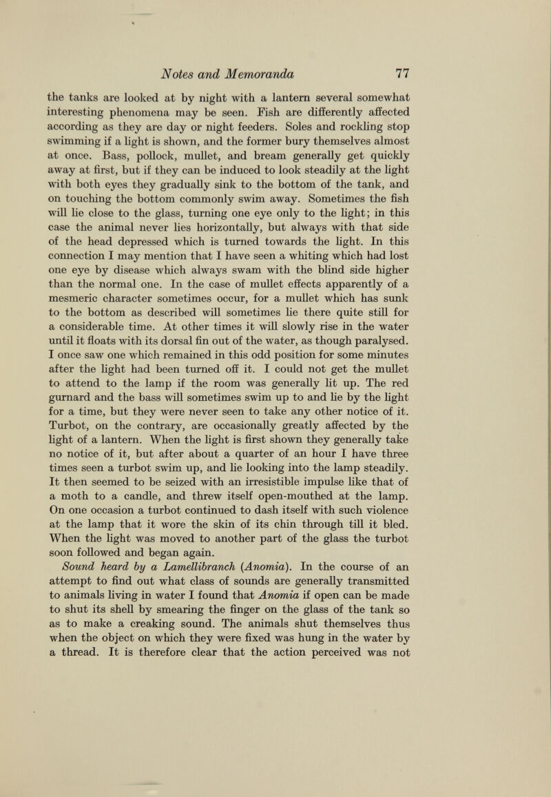 the tanks are looked at by night with a lantern several somewhat interesting phenomena may be seen. Fish are differently affected according as they are day or night feeders. Soles and rockling stop swimming if a light is shown, and the former bury themselves almost at once. Bass, pollock, mullet, and bream generally get quickly away at first, but if they can be induced to look steadily at the light with both eyes they gradually sink to the bottom of the tank, and on touching the bottom commonly swim away. Sometimes the fish will lie close to the glass, turning one eye only to the light; in this case the animal never lies horizontally, but always with that side of the head depressed which is turned towards the light. In this connection I may mention that I have seen a whiting which had lost one eye by disease which always swam with the blind side higher than the normal one. In the case of mullet effects apparently of a mesmeric character sometimes occur, for a mullet which has sunk to the bottom as described will sometimes lie there quite still for a considerable time. At other times it will slowly rise in the water until it floats with its dorsal fin out of the water, as though paralysed. I once saw one which remained in this odd position for some minutes after the light had been turned off it. I could not get the mullet to attend to the lamp if the room was generally lit up. The red gurnard and the bass will sometimes swim up to and He by the light for a time, but they were never seen to take any other notice of it. Turbot, on the contrary, are occasionally greatly affected by the light of a lantern. When the light is first shown they generally take no notice of it, but after about a quarter of an hour I have three times seen a turbot swim up, and lie looking into the lamp steadily. It then seemed to be seized with an irresistible impulse like that of a moth to a candle, and threw itself open-mouthed at the lamp. On one occasion a turbot continued to dash itself with such violence at the lamp that it wore the skin of its chin through till it bled. When the light was moved to another part of the glass the turbot soon followed and began again. Sound heard by a Lamellibranch ( Anomia ). In the course of an attempt to find out what class of sounds are generally transmitted to animals living in water I found that Anomia if open can be made to shut its shell by smearing the finger on the glass of the tank so as to make a creaking sound. The animals shut themselves thus when the object on which they were fixed was hung in the water by a thread. It is therefore clear that the action perceived was not