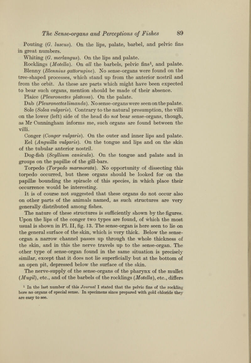 Pouting ( G. luscus). On the lips, palate, barbel, and pelvic fins in great numbers. Whiting ( G. merlangus). On the lips and palate. Rocklings ( Motella ). On all the barbels, pelvic fins 1 , and palate. Blenny (Blennius gattorugine). No sense-organs were found on the tree-shaped processes, which stand up from the anterior nostril and from the orbit. As these are parts which might have been expected to bear such organs, mention should be made of their absence. Plaice (Pleurcrneetes platessa). On the palate. Dab (Pleuronecteslimanda). No sense-organs were seen on the palate. Sole (Solea vulgaris). Contrary to the natural presumption, the villi on the lower (left) side of the head do not bear sense-organs, though, as Mr Cunningham informs me, such organs are found between the villi. Conger (Conger vulgaris). On the outer and inner lips and palate. Eel (Anguilla vulgaris). On the tongue and lips and on the skin of the tubular anterior nostril. Dog-fish (Scyllium canicula). On the tongue and palate and in groups on the papillae of the gill-bars. Torpedo (Torpedo marmorata). No opportunity of dissecting this torpedo occurred, but these organs should be looked for on the papillae bounding the spiracle of this species, in which place their occurrence would be interesting. It is of course not suggested that these organs do not occur also on other parts of the animals named, as such structures are very generally distributed among fishes. The nature of these structures is sufficiently shown by the figures. Upon the lips of the conger two types are found, of which the most usual is shown in PI. II, fig. 13. The sense-organ is here seen to lie on the general surface of the skin, which is very thick. Below the sense- organ a narrow channel passes up through the whole thickness of the s kin , and in this the nerve travels up to the sense-organ. The other type of sense-organ found in the same situation is precisely similar, except that it does not he superficially but at the bottom of an open pit, depressed below the surface of the skin. The nerve-supply of the sense-organs of the pharynx of the mullet (Mugil), etc., and of the barbels of the rocklings (Motella), etc., diff ers 1 In the last number of this Journal I stated that the pelvic fins of the rockling bore no organs of special sense. In specimens since prepared with gold chloride they are easy to see.