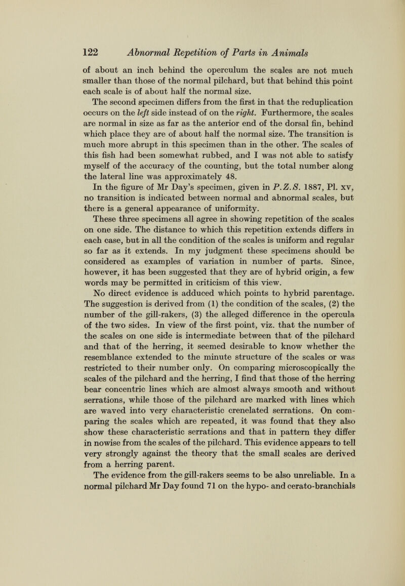 of about an inch behind the operculum the scales are not much smaller than those of the normal pilchard, but that behind this point each scale is of about half the normal size. The second specimen differs from the first in that the reduplication occurs on the left side instead of on the right. Furthermore, the scales are normal in size as far as the anterior end of the dorsal fin, behind which place they are of about half the normal size. The transition is much more abrupt in this specimen than in the other. The scales of this fish had been somewhat rubbed, and I was not able to satisfy myself of the accuracy of the counting, but the total number along the lateral line was approximately 48. In the figure of Mr Day’s specimen, given in P.Z.8. 1887, PI. xv, no transition is indicated between normal and abnormal scales, but there is a general appearance of uniformity. These three specimens all agree in showing repetition of the scales on one side. The distance to which this repetition extends differs in each case, but in all the condition of the scales is uniform and regular so far as it extends. In my judgment these specimens should be considered as examples of variation in number of parts. Since, however, it has been suggested that they are of hybrid origin, a few words may be permitted in criticism of this view. No direct evidence is adduced which points to hybrid parentage. The suggestion is derived from (1) the condition of the scales, (2) the number of the gill-rakers, (3) the alleged difference in the opercula of the two sides. In view of the first point, viz. that the number of the scales on one side is intermediate between that of the pilchard and that of the herring, it seemed desirable to know whether the resemblance extended to the minute structure of the scales or was restricted to their number only. On comparing microscopically the scales of the pilchard and the herring, I find that those of the herring bear concentric lines which are almost always smooth and without serrations, while those of the pilchard are marked with lines which are waved into very characteristic crenelated serrations. On com paring the scales which are repeated, it was found that they also show these characteristic serrations and that in pattern they differ in nowise from the scales of the pilchard. This evidence appears to tell very strongly against the theory that the small scales are derived from a herring parent. The evidence from the gill-rakers seems to be also unreliable. In a normal pilchard Mr Day found 71 on the hypo- and cerato-branchials