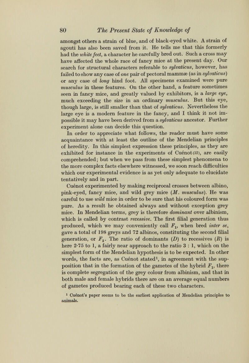 amongst others a strain of blue, and of black-eyed white. A strain of agouti has also been saved from it. He tells me that this formerly had the white feet, a character he carefully bred out. Such a cross may have affected the whole race of fancy mice at the present day. Our search for structural characters referable to sylvaticus, however, has failed to show any case of one pair of pectoral mammae (as in sylvaticus) or any case of long hind foot. All specimens examined were pure musculus in these features. On the other hand, a feature sometimes seen in fancy mice, and greatly valued by exhibitors, is a large eye, much exceeding the size in an ordinary musculus. But this eye, though large, is still smaller than that of sylvaticus. Nevertheless the large eye is a modern feature in the fancy, and I think it not im possible it may have been derived from a sylvaticus ancestor. Further experiment alone can decide this question. In order to appreciate what follows, the reader must have some acquaintance with at least the outline of the Mendelian principles of heredity. In this simplest expression these principles, as they are exhibited for instance in the experiments of Cuenot (12), are easily comprehended; but when we pass from these simplest phenomena to the more complex facts elsewhere witnessed, we soon reach difficulties which our experimental evidence is as yet only adequate to elucidate tentatively and in part. Cuenot experimented by making reciprocal crosses between albino, pink-eyed, fancy mice, and wild grey mice (M. musculus). He was careful to use wild mice in order to be sure that his coloured form was pure. As a result he obtained always and without exception grey mice. In Mendelian terms, grey is therefore dominant over albinism, which is called by contrast recessive. The first filial generation thus produced, which we may conveniently call F x , when bred inter se, gave a total of 198 greys and 72 albinos, constituting the second filial generation, or F 2 . The ratio of dominants ( D) to recessives ( R) is here 2-75 to 1, a fairly near approach to the ratio 3:1, which on the simplest form of the Mendelian hypothesis is to be expected. In other words, the facts are, as Cuenot stated 1 , in agreement with the sup position that in the formation of the gametes of the hybrid F x , there is complete segregation of the grey colour from albinism, and that in both male and female hybrids there are on an average equal numbers of gametes produced bearing each of these two characters. 1 Cu6not’s paper seems to be the earliest application of Mendelian principles to animals.