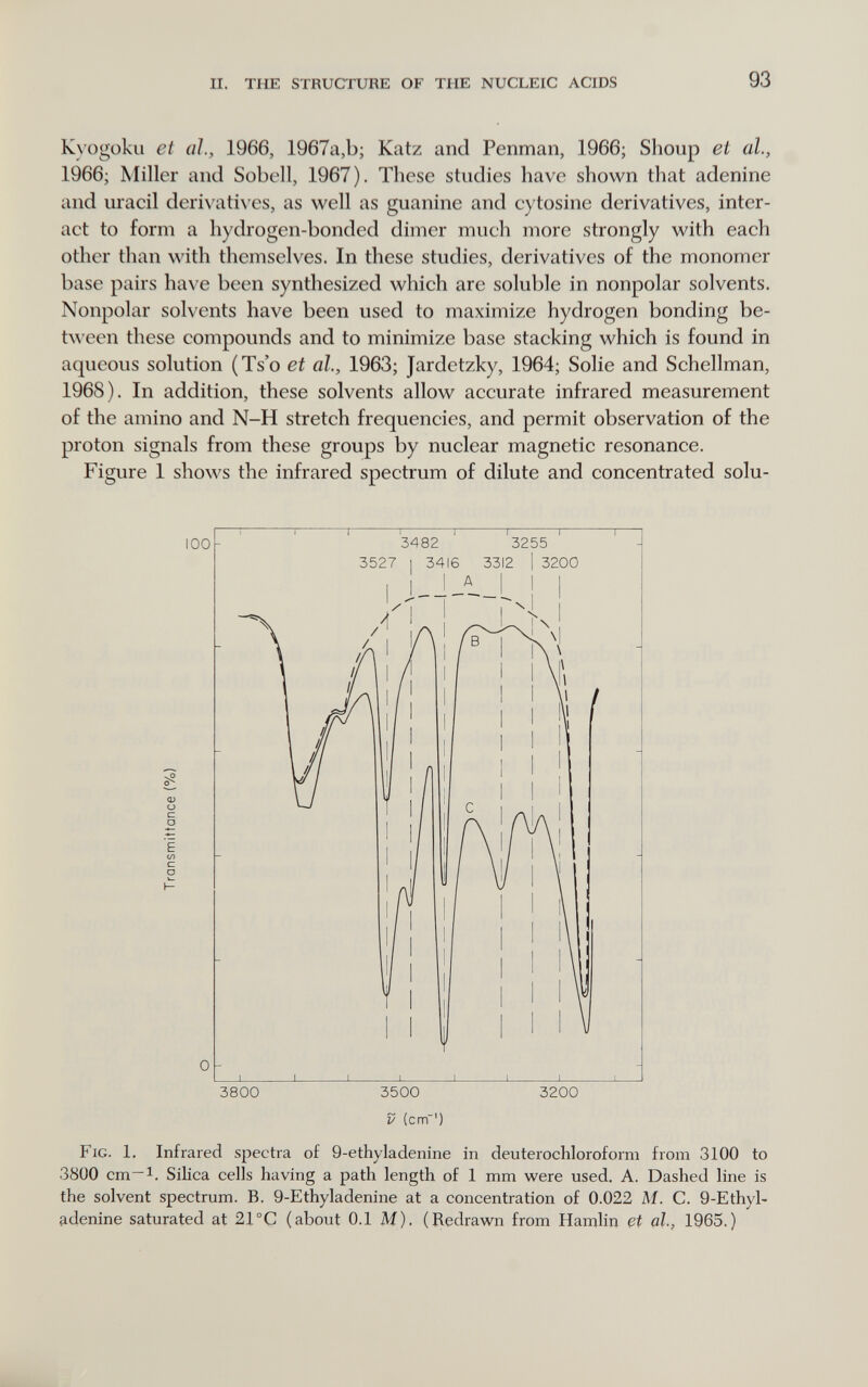II. THE STRUCrURE OF THE NUCLEIC ACIDS 93 Kvogoku et al., 1966, 1967a,b; Katz and Penman, 1966; Shoup et al, 1966; Miller and Sobell, 1967). These studies have shown that adenine and uracil derivati\'es, as well as guanine and cytosine derivatives, inter¬ act to form a hydrogen-bonded dimer much more strongly with each other than with themselves. In these studies, derivatives of the monomer base pairs have been synthesized which arc soluble in nonpolar solvents. Nonpolar solvents have been used to maximize hydrogen bonding be- t\\ cen these compounds and to minimize base stacking which is found in aqueous solution (Ts'o et al., 1963; Jardctzky, 1964; Solie and Schellman, 1968). In addition, these solvents allow accurate infrared measurement of the amino and N-H stretch frequencies, and permit observation of the proton signals from these groups by nuclear magnetic resonance. Figure 1 shows the infrared spectrum of dilute and concentrated solu- P (cm ') Fig. 1. Infrared spectra of 9-ethyladenine in deuterochloroform from 3100 to 3800 cm-i. Silica cells having a path length of 1 mm were used. A. Dashed line is the solvent spectrum. B. 9-Ethyladenine at a concentration of 0.022 M. C. 9-Ethyl- fidenine saturated at 21°C (about 0.1 M). (Redrawn from Hamlin et al, 1965.)