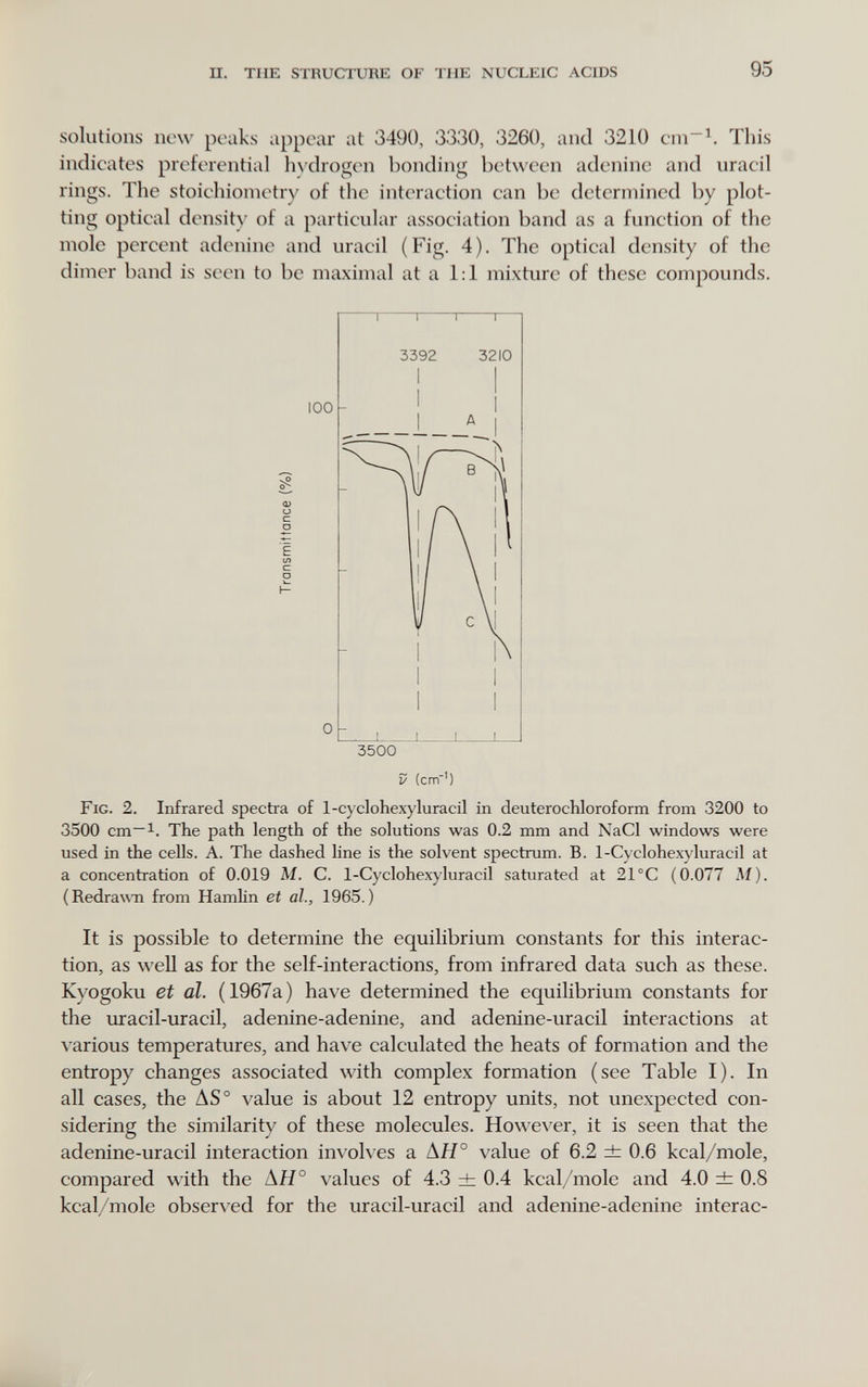 п. the structure OF the nucleic acids 95 solutions new peaks appear at 3490, 3330, 3260, and 3210 This indicates preferential h^'dгogen bonding between adenine and uracil rings. The stoichionietry of the interaction can be determined by plot¬ ting optical density of a particular association band as a function of the mole percent adenine and uracil (Fig. 4). The optical density of the dimer band is seen to be maximal at a 1:1 mixture of these compounds. V (cm') Fig. 2. Infrared spectra of 1-cyclohexyluracil in deuterochloroform from 3200 to 3500 cm~i. The path length of the solutions was 0.2 mm and NaCl windows were used in the cells. A. The dashed line is the solvent spectrum. B. 1-Cyclohexyluracil at a concentration of 0.019 M. C. l-Cyclohexyluracil saturated at 21 °C (0.077 M). (Redrawn from HamUn et al., 1965.) It is possible to determine the equilibrium constants for this interac¬ tion, as well as for the self-interactions, from infrared data such as these. Kyogoku et al. (1967a) have determined the equilibrium constants for the uracil-uracil, adenine-adenine, and adenine-uracil interactions at various temperatures, and have calculated the heats of formation and the entropy changes associated with complex formation (see Table I). In all cases, the AS° value is about 12 entropy units, not unexpected con¬ sidering the similarity of these molecules. However, it is seen that the adenine-uracil interaction involves a АЯ° value of 6.2 ± 0.6 kcal/mole, compared with the АЯ° values of 4.3 ± 0.4 kcal/mole and 4.0 ± 0.8 kcal/mole observed for the uracil-uracil and adenine-adenine interac-