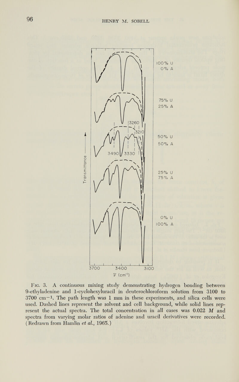 96 HENRY \í. SOBELL О) о с о I- 100% и 0% А 75% и 25% А 50% и 50% А 25% и 75% А 0% и 100% А 3700 3400 3100 V (cm') Fig. 3. А continuous mixing study demonstrating hydrogen bonding between 9-ethyladenine and 1-cyclohexyluracil in deuterochloroform solution from 3100 to 3700 cm~i. The path length was 1 mm in these experiments, and silica cells were used. Dashed lines represent the solvent and cell background, while solid lines rep¬ resent the actual spectra. The total concentration in all cases was 0.022 M and spectra from varying molar ratios of adenine and uracil derivatives were recorded. ( Redrawn from Hamlin et al., 1965. )
