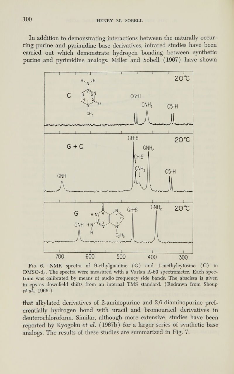100 HENRY M. SOBELL In addition to demonstrating interactions between the naturally occur- ring purine and pyrimidine base derivatives, infrared studies have been carried out which demonstrate hydrogen bonding between synthetic purine and pyrimidine analogs. Miller and Sobell (1967) have shown 700 600 500 400 300 Fig. 6. NMR spectra of 9-ethylguanine (G) and 1-methylcytosine (C) in DMSO-dg. The spectra were measured with a Varian A-60 spectrometer. Each spec¬ trum was calibrated by means of audio frequency side bands. The abscissa is given in ops as downfield shifts from an internal TMS standard. (Redrawn from Shoup et al, 1966.) that alkylated derivatives of 2-aminopurine and 2,6-diaminopurine pref¬ erentially hydrogen bond with uracil and bromouracil derivatives in deuterochloroform. Similar, although more extensive, studies have been reported by Kyogoku et al. ( 1967b ) for a larger series of synthetic base analogs. The results of these studies are summarized in Fig. 7.