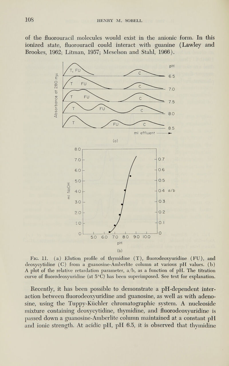 108 HENRY M. SOBELL of the fluorouracil molecules would exist in the anionic form. In this ionized state, fluorouracil could interact with guanine (Lawley and Brookes, 1962; Litman, 1957; Meselson and Stahl, 1966). E О CO CM <D о О -Û Л» < 8.5 ml effluent (a) Fig. 11, (a) Elution profile of thymidine (T), fluorodeoxyuridine (FU), and deoxycytidine (C) from a guanosine-Amberlite column at various pH values, (b) A plot of the relative retardation parameter, a/b, as a function of pH. The titration curve of fluorodeoxyuridine (at 5°C) has been superimposed. See text for explanation. Recently, it has been possible to demonstrate a pH-dependent inter¬ action between fluorodeoxyuridine and guanosine, as well as with adeno¬ sine, using the Tuppy-Kiichler chromatographic system. A nucleoside mixture containing deoxycytidine, thymidine, and fluorodeoxyuridine is passed down a guanosine-Amberlite column maintained at a constant pH and ionic strength. At acidic pH, pH 6.5, it is observed that thymidine