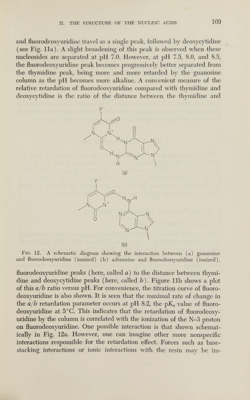 п. THE STRUCTURE OF THE NUCLEIC ACIDS 109 and fluorodcox) uridiiic tra\чЧ as a single peak, followed by deoxycytidine (see Fig. 11a). A slight broadening of this peak is obser\'ed when these nucleosides are separated at pi I 7.0. Ho\vc\ er, at pi I 7.5, 8.0, and 8.5, the fluorodeoxN uridine peak becomes progressi\ ely better separated from tlie th)Tmidine peak, being more and more retarded by the guanosine column as the pH becomes more alkaline. A convenient measure of the relative retardation of fluorodeox)'uridine compared with thymidine and deoxvc\ tidine is the ratio of the distance between the thvmidine and ^ • J F (b) Fig. 12. A schematic diagram showing the interaction between (a) guanosine and fluorodeoxyuridine (ionized) (b) adenosine and fluorodeoxyuridine (ionized). fluorodeoxyuridine peaks (here, called a) to the distance between thymi¬ dine and deoxycytidine peaks (here, called h). Figure lib shows a plot of this а/Ъ ratio versus pH. For convenience, the titration curve of fluoro¬ deoxyuridine is also shown. It is seen that the maximal rate of change in the а/Ъ retardation parameter occurs at pH 8.2, the pK^ value of fluoro¬ deoxyuridine at 5°C. This indicates that the retardation of fluorodeoxy¬ uridine by the column is correlated with the ionization of the N-3 proton on fluorodeoxyuridine. One possible interaction is that shown schemat¬ ically in Fig. 12a, However, one can imagine other more nonspecific interactions responsible for the retardation effect. Forces such as base- stacking interactions or ionic interactions with the resin may be im-