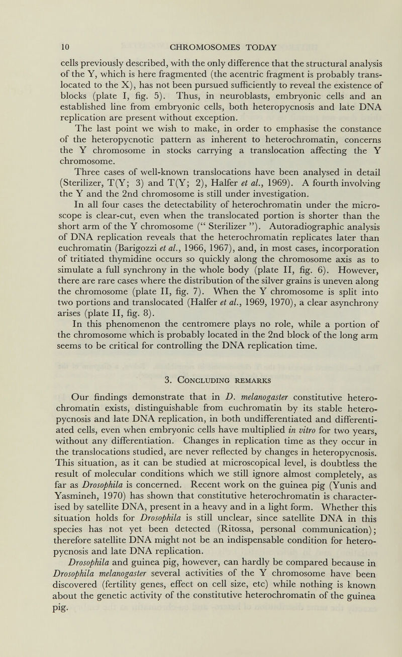 10 CHROMOSOMES TODAY cells previously described, with the only difference that the structural analysis of the Y, which is here fragmented (the acentric fragment is probably trans¬ located to the X), has not been pursued sufficiently to reveal the existence of blocks (plate I, fig. 5). Thus, in neuroblasts, embryonic cells and an established line from embryonic cells, both heteropycnosis and late DNA replication are present without exception. The last point we wish to make, in order to emphasise the constance of the heteropycnotic pattern as inherent to heterochromatin, concerns the Y chromosome in stocks carrying a translocation affecting the Y chromosome. Three cases of well-known translocations have been analysed in detail (Sterilizer, T(Y; 3) and T(Y; 2), Halfer et al., 1969). A fourth involving the Y and the 2nd chromosome is still under investigation. In all four cases the detectability of heterochromatin under the micro¬ scope is clear-cut, even when the translocated portion is shorter than the short arm of the Y chromosome ( Sterilizer ). Autoradiographic analysis of DNA replication reveals that the heterochromatin replicates later than euchromatin (Barigozzi et al., 1966, 1967), and, in most cases, incorporation of tritiated thymidine occurs so quickly along the chromosome axis as to simulate a full synchrony in the whole body (plate II, fig. 6). However, there are rare cases where the distribution of the silver grains is uneven along the chromosome (plate II, fig. 7). When the Y chromosome is split into two portions and translocated (Halfer et al., 1969, 1970), a clear asynchrony arises (plate II, fig. 8). In this phenomenon the centromere plays no role, while a portion of the chromosome which is probably located in the 2nd block of the long arm seems to be critical for controlling the DNA replication time. 3. Concluding remarks Our findings demonstrate that in D. melanogaster constitutive hetero¬ chromatin exists, distinguishable from euchromatin by its stable hetero¬ pycnosis and late DNA replication, in both undifferentiated and differenti¬ ated cells, even when embryonic cells have multiplied in vitro for two years, without any differentiation. Changes in replication time as they occur in the translocations studied, are never reflected by changes in heteropycnosis. This situation, as it can be studied at microscopical level, is doubtless the result of molecular conditions which we still ignore almost completely, as far as Drosophila is concerned. Recent work on the guinea pig (Yunis and Yasmineh, 1970) has shown that constitutive heterochromatin is character¬ ised by satelUte DNA, present in a heavy and in a light form. Whether this situation holds for Drosophila is still unclear, since satellite DNA in this species has not yet been detected (Ritossa, personal communication) ; therefore satellite DNA might not be an indispensable condition for hetero¬ pycnosis and late DNA replication. Drosophila and guinea pig, however, can hardly be compared because in Drosophila melanogaster several activities of the Y chromosome have been discovered (fertility genes, effect on cell size, etc) while nothing is known about the genetic activity of the constitutive heterochromatin of the guinea pig-
