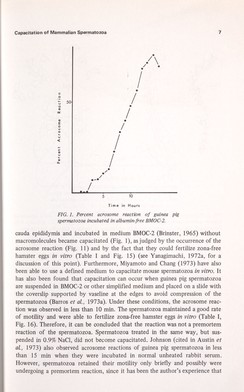 /\ I / / / I / / / I 5 10 Time in Hours FIG. 1. Percent acrosome reaction of guinea pig spermatozoa incubated in albumin-free BMOC-2. cauda epididymis and incubated in medium BMOC-2 (Brinster, 1965) without macromolecules became capacitated (Fig. 1), as judged by the occurrence of the acrosome reaction (Fig. 11) and by the fact that they could fertilize zona-free hamster eggs in vitro (Table I and Fig. 15) (see Yanagimachi, 1972a, for a discussion of this point). Furthermore, Miyamoto and Chang (1973) have also been able to use a defined medium to capacitate mouse spermatozoa in vitro. It has also been found that capacitation can occur when guinea pig spermatozoa are suspended in BMOC-2 or other simplified medium and placed on a slide with the coverslip supported by vaseline at the edges to avoid compression of the spermatozoa (Barros et al., 1973a). Under these conditions, the acrosome reac tion was observed in less than 10 min. The spermatozoa maintained a good rate of motility and were able to fertilize zona-free hamster eggs in vitro (Table I, Fig. 16). Therefore, it can be concluded that the reaction was not a premortem reaction of the spermatozoa. Spermatozoa treated in the same way, but sus pended in 0.9% NaCl, did not become capacitated. Johnson (cited in Austin et al., 1973) also observed acrosome reactions of guinea pig spermatozoa in less than 15 min when they were incubated in normal unheated rabbit serum. However, spermatozoa retained their motility only briefly and possibly were undergoing a premortem reaction, since it has been the author's experience that