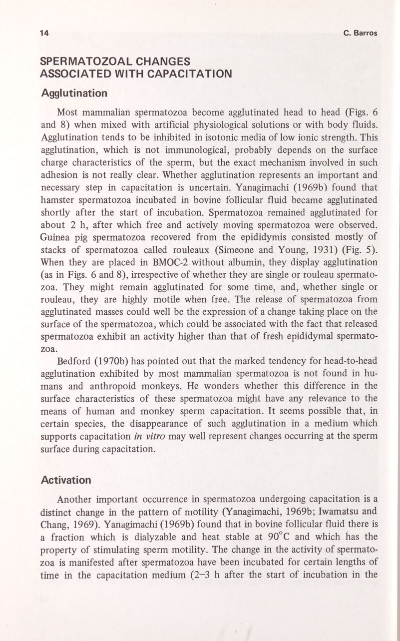 SPERMATOZOAL CHANGES ASSOCIATED WITH CAPACITATICI Agglutination Most mammalian spermatozoa become agglutinated head to head (Figs. 6 and 8) when mixed with artificial physiological solutions or with body fluids. Agglutination tends to be inhibited in isotonic media of low ionic strength. This agglutination, which is not immunological, probably depends on the surface charge characteristics of the sperm, but the exact mechanism involved in such adhesion is not really clear. Whether agglutination represents an important and necessary step in capacitation is uncertain. Yanagimachi (1969b) found that hamster spermatozoa incubated in bovine follicular fluid became agglutinated shortly after the start of incubation. Spermatozoa remained agglutinated for about 2 h, after which free and actively moving spermatozoa were observed. Guinea pig spermatozoa recovered from the epididymis consisted mostly of stacks of spermatozoa called rouleaux (Simeone and Young, 1931) (Fig. 5). When they are placed in BMOC-2 without albumin, they display agglutination (as in Figs. 6 and 8), irrespective of whether they are single or rouleau spermato zoa. They might remain agglutinated for some time, and, whether single or rouleau, they are highly motile when free. The release of spermatozoa from agglutinated masses could well be the expression of a change taking place on the surface of the spermatozoa, which could be associated with the fact that released spermatozoa exhibit an activity higher than that of fresh epididymal spermato zoa. Bedford (1970b) has pointed out that the marked tendency for head-to-head agglutination exhibited by most mammalian spermatozoa is not found in hu mans and anthropoid monkeys. He wonders whether this difference in the surface characteristics of these spermatozoa might have any relevance to the means of human and monkey sperm capacitation. It seems possible that, in certain species, the disappearance of such agglutination in a medium which supports capacitation in vitro may well represent changes occurring at the sperm surface during capacitation. Activation Another important occurrence in spermatozoa undergoing capacitation is a distinct change in the pattern of motility (Yanagimachi, 1969b; Iwamatsu and Chang, 1969). Yanagimachi (1969b) found that in bovine follicular fluid there is a fraction which is dialyzable and heat stable at 90°C and which has the property of stimulating sperm motility. The change in the activity of spermato zoa is manifested after spermatozoa have been incubated for certain lengths of time in the capacitation medium (2-3 h after the start of incubation in the