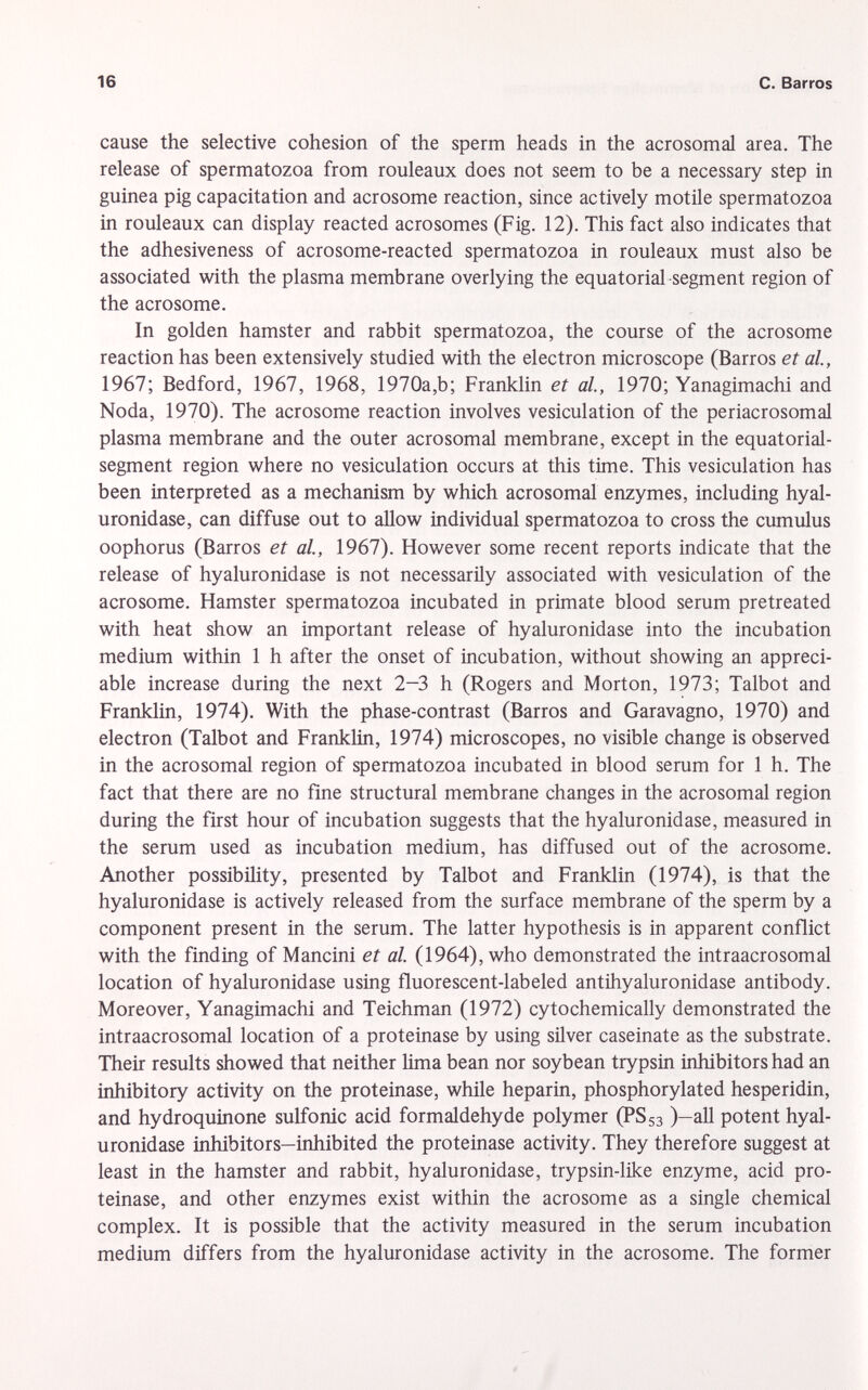 cause the selective cohesion of the sperm heads in the acrosomal area. The release of spermatozoa from rouleaux does not seem to be a necessary step in guinea pig capacitation and acrosome reaction, since actively motile spermatozoa in rouleaux can display reacted acrosomes (Fig. 12). This fact also indicates that the adhesiveness of acrosome-reacted spermatozoa in rouleaux must also be associated with the plasma membrane overlying the equatorial segment region of the acrosome. In golden hamster and rabbit spermatozoa, the course of the acrosome reaction has been extensively studied with the electron microscope (Barros et al, 1967; Bedford, 1967, 1968, 1970a,b; Franklin et al., 1970; Yanagimachi and Nöda, 1970). The acrosome reaction involves vesiculation of the periacrosomal plasma membrane and the outer acrosomal membrane, except in the equatorial- segment region where no vesiculation occurs at this time. This vesiculation has been interpreted as a mechanism by which acrosomal enzymes, including hyal- uronidase, can diffuse out to allow individual spermatozoa to cross the cumulus oophorus (Barros et al., 1967). However some recent reports indicate that the release of hyaluronidase is not necessarily associated with vesiculation of the acrosome. Hamster spermatozoa incubated in primate blood serum pretreated with heat show an important release of hyaluronidase into the incubation medium within 1 h after the onset of incubation, without showing an appreci able increase during the next 2-3 h (Rogers and Morton, 1973; Talbot and Franklin, 1974). With the phase-contrast (Barros and Garavagno, 1970) and electron (Talbot and Franklin, 1974) microscopes, no visible change is observed in the acrosomal region of spermatozoa incubated in blood serum for 1 h. The fact that there are no fine structural membrane changes in the acrosomal region during the first hour of incubation suggests that the hyaluronidase, measured in the serum used as incubation medium, has diffused out of the acrosome. Another possibility, presented by Talbot and Franklin (1974), is that the hyaluronidase is actively released from the surface membrane of the sperm by a component present in the serum. The latter hypothesis is in apparent conflict with the finding of Mancini et al. (1964), who demonstrated the intraacrosomal location of hyaluronidase using fluorescent-labeled antihyaluronidase antibody. Moreover, Yanagimachi and Teichman (1972) cytochemically demonstrated the intraacrosomal location of a proteinase by using silver caseinate as the substrate. Their results showed that neither lima bean nor soybean trypsin inhibitors had an inhibitory activity on the proteinase, while heparin, phosphorylated hesperidin, and hydroquinone sulfonic acid formaldehyde polymer (PS s3 )—all potent hyal uronidase inhibitors—inhibited the proteinase activity. They therefore suggest at least in the hamster and rabbit, hyaluronidase, trypsin-like enzyme, acid pro teinase, and other enzymes exist within the acrosome as a single chemical complex. It is possible that the activity measured in the serum incubation medium differs from the hyaluronidase activity in the acrosome. The former