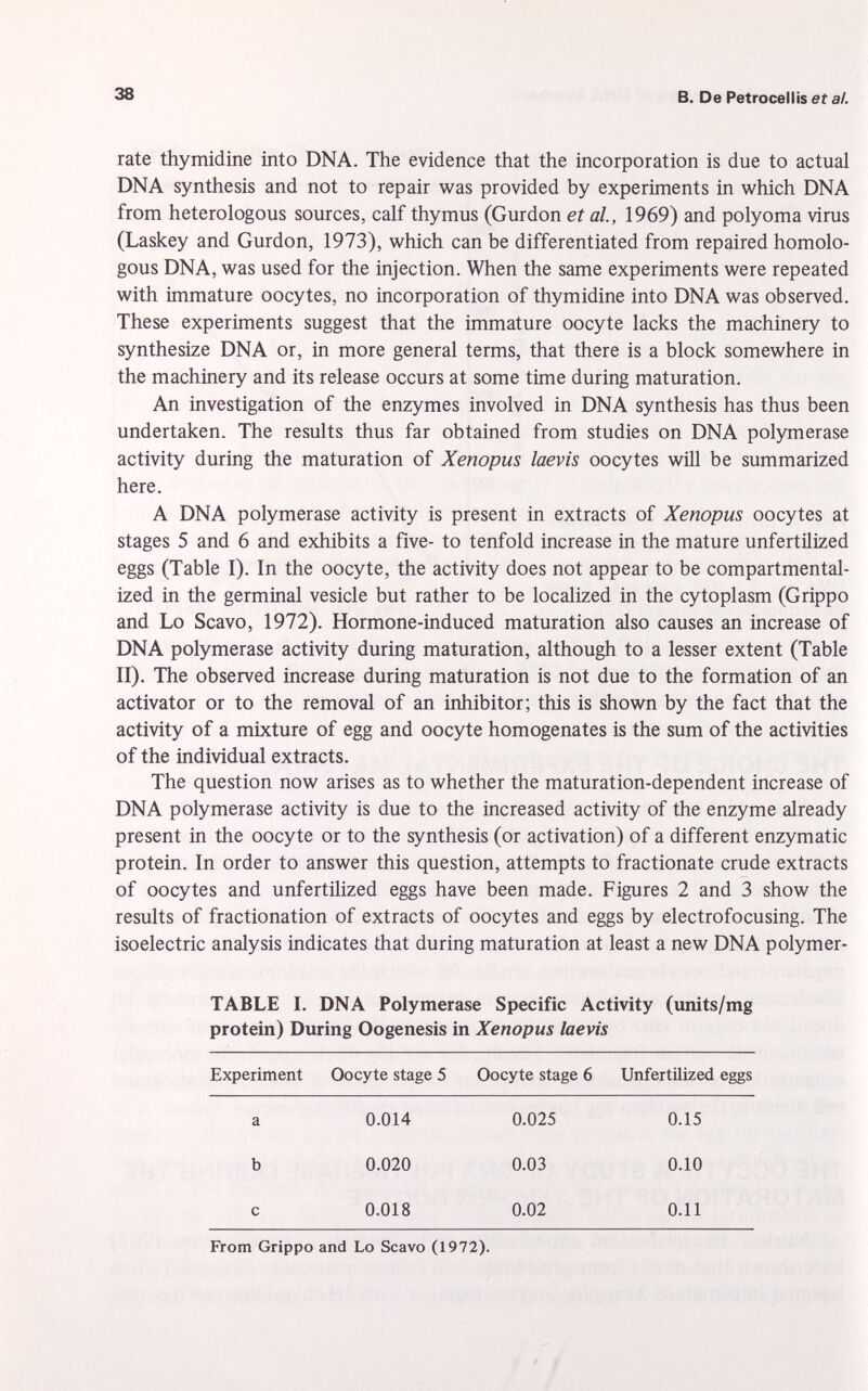 rate thymidine into DNA. The evidence that the incorporation is due to actual DNA synthesis and not to repair was provided by experiments in which DNA from heterologous sources, calf thymus (Gurdon et al., 1969) and polyoma virus (Laskey and Gurdon, 1973), which can be differentiated from repaired homolo gous DNA, was used for the injection. When the same experiments were repeated with immature oocytes, no incorporation of thymidine into DNA was observed. These experiments suggest that the immature oocyte lacks the machinery to synthesize DNA or, in more general terms, that there is a block somewhere in the machinery and its release occurs at some time during maturation. An investigation of the enzymes involved in DNA synthesis has thus been undertaken. The results thus far obtained from studies on DNA polymerase activity during the maturation of Xenopus laevis oocytes will be summarized here. A DNA polymerase activity is present in extracts of Xenopus oocytes at stages 5 and 6 and exhibits a five- to tenfold increase in the mature unfertilized eggs (Table I). In the oocyte, the activity does not appear to be compartmental ized in the germinal vesicle but rather to be localized in the cytoplasm (Grippo and Lo Scavo, 1972). Hormone-induced maturation also causes an increase of DNA polymerase activity during maturation, although to a lesser extent (Table II). The observed increase during maturation is not due to the formation of an activator or to the removal of an inhibitor; this is shown by the fact that the activity of a mixture of egg and oocyte homogenates is the sum of the activities of the individual extracts. The question now arises as to whether the maturation-dependent increase of DNA polymerase activity is due to the increased activity of the enzyme already present in the oocyte or to the synthesis (or activation) of a different enzymatic protein. In order to answer this question, attempts to fractionate crude extracts of oocytes and unfertilized eggs have been made. Figures 2 and 3 show the results of fractionation of extracts of oocytes and eggs by electrofocusing. The isoelectric analysis indicates that during maturation at least a new DNA polymer- TABLE I. DNA Polymerase Specific Activity (units/mg protein) During Oogenesis in Xenopus laevis Experiment Oocyte stage 5 Oocyte stage 6 Unfertilized eggs a 0.014 0.025 0.15 b 0.020 0.03 0.10 c 0.018 0.02 0.11 From Grippo and Lo Scavo (1972).