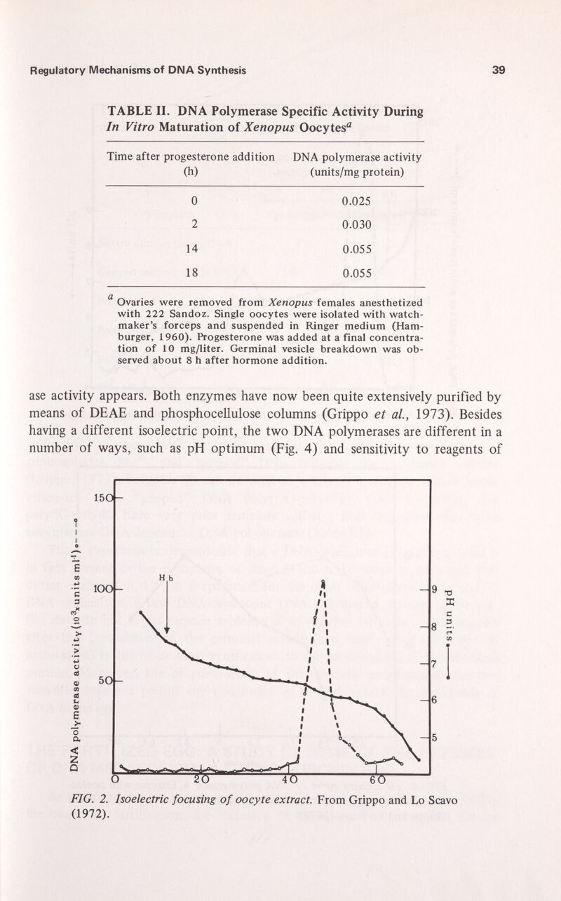 TABLE II. DNA Polymerase Specific Activity During In Vitro Maturation of Xenopus Oocytes 0 Time after progesterone addition (h) DNA polymerase activity (units/mg protein) 0 0.025 2 0.030 14 0.055 18 0.055 Ovaries were removed from Xenopus females anesthetized with 222 Sandoz. Single oocytes were isolated with watch maker's forceps and suspended in Ringer medium (Ham burger, 1960). Progesterone was added at a final concentra tion of 10 mg/liter. Germinal vesicle breakdown was ob served about 8 h after hormone addition. ase activity appears. Both enzymes have now been quite extensively purified by means of DEAE and phosphocellulose columns (Grippo et al., 1973). Besides having a different isoelectric point, the two DNA polymerases are different in a number of ways, such as pH optimum (Fig. 4) and sensitivity to reagents of *0 X c 3 FIG. 2. Isoelectric focusing of oocyte extract. From Grippo and Lo Scavo (1972).