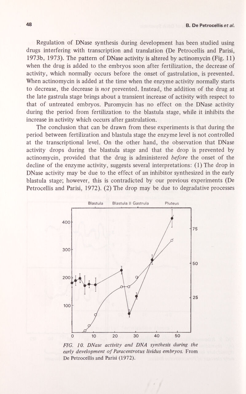 Regulation of DNase synthesis during development has been studied using drugs interfering with transcription and translation (De Petrocellis and Parisi, 1973b, 1973). The pattern of DNase activity is altered by actinomycin (Fig. 11) when the drug is added to the embryos soon after fertilization, the decrease of activity, which normally occurs before the onset of gastrulation, is prevented. When actinomycin is added at the time when the enzyme activity normally starts to decrease, the decrease is not prevented. Instead, the addition of the drug at the late gastrula stage brings about a transient increase of activity with respect to that of untreated embryos. Puromycin has no effect on the DNase activity during the period from fertilization to the blastula stage, while it inhibits the increase in activity which occurs after gastrulation. The conclusion that can be drawn from these experiments is that during the period between fertilization and blastula stage the enzyme level is not controlled at the transcriptional level. On the other hand, the observation that DNase activity drops during the blastula stage and that the drop is prevented by actinomycin, provided that the drug is administered before the onset of the decline of the enzyme activity, suggests several interpretations: (1) The drop in DNase activity may be due to the effect of an inhibitor synthesized in the early blastula stage; however, this is contradicted by our previous experiments (De Petrocellis and Parisi, 1972). (2) The drop may be due to degradative processes Blastula Blastula II Gastrula Pluteus 400 300 200 100 75 50 25 0 10 20 30 40 50 FIG. 10. DNase activity and DNA synthesis during the early development of Paracentrotus lividus embryos. From De Petrocellis and Parisi (1972).