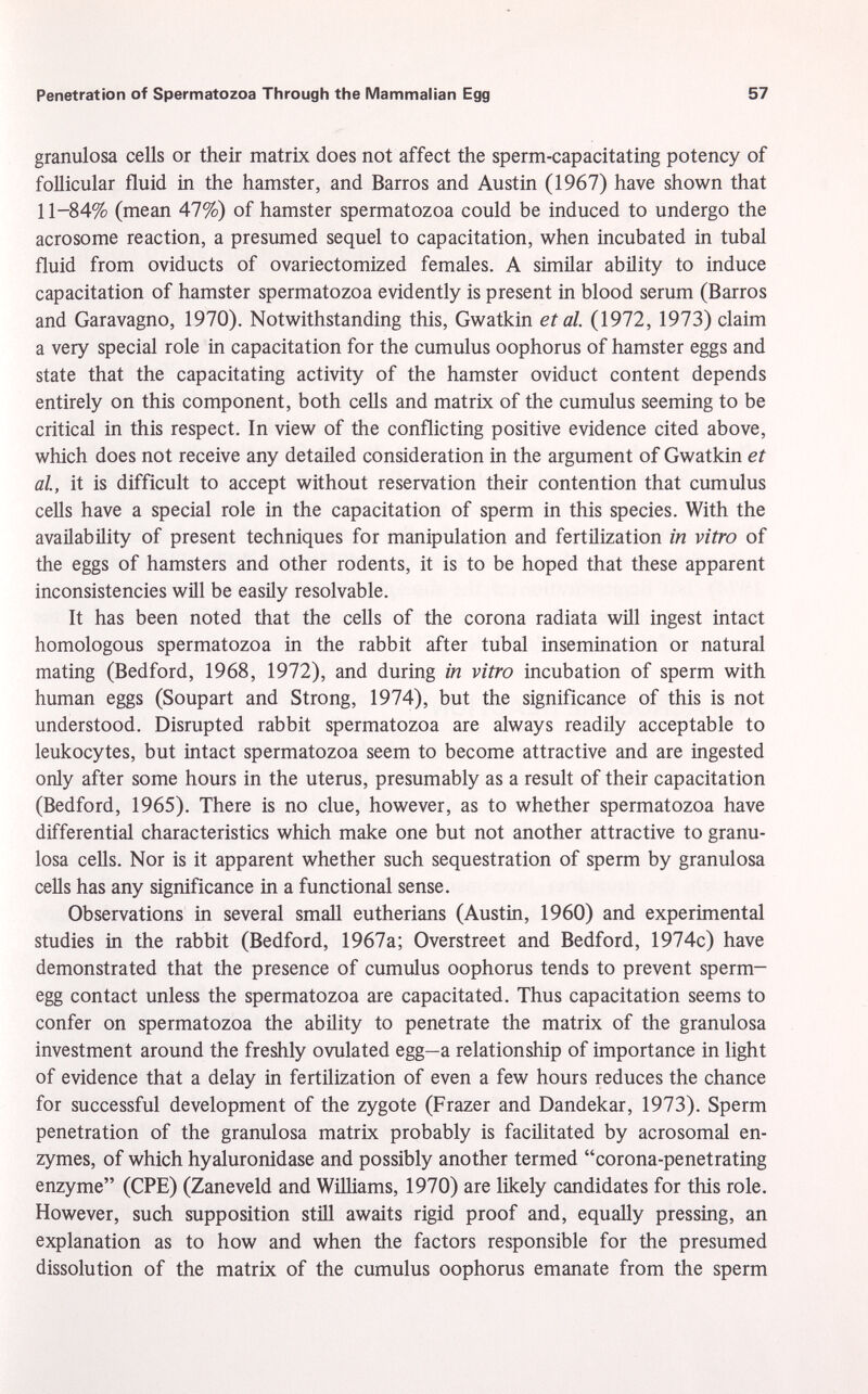 granulosa cells or their matrix does not affect the sperm-capacitating potency of follicular fluid in the hamster, and Barros and Austin (1967) have shown that 11-84% (mean 47%) of hamster spermatozoa could be induced to undergo the acrosome reaction, a presumed sequel to capacitation, when incubated in tubal fluid from oviducts of ovariectomized females. A similar ability to induce capacitation of hamster spermatozoa evidently is present in blood serum (Barros and Garavagno, 1970). Notwithstanding this, Gwatkin et al. (1972, 1973) claim a very special role in capacitation for the cumulus oophorus of hamster eggs and state that the capacitating activity of the hamster oviduct content depends entirely on this component, both cells and matrix of the cumulus seeming to be critical in this respect. In view of the conflicting positive evidence cited above, which does not receive any detailed consideration in the argument of Gwatkin et al., it is difficult to accept without reservation their contention that cumulus cells have a special role in the capacitation of sperm in this species. With the availability of present techniques for manipulation and fertilization in vitro of the eggs of hamsters and other rodents, it is to be hoped that these apparent inconsistencies will be easily resolvable. It has been noted that the cells of the corona radiata will ingest intact homologous spermatozoa in the rabbit after tubal insemination or natural mating (Bedford, 1968, 1972), and during in vitro incubation of sperm with human eggs (Soupart and Strong, 1974), but the significance of this is not understood. Disrupted rabbit spermatozoa are always readily acceptable to leukocytes, but intact spermatozoa seem to become attractive and are ingested only after some hours in the uterus, presumably as a result of their capacitation (Bedford, 1965). There is no clue, however, as to whether spermatozoa have differential characteristics which make one but not another attractive to granu losa cells. Nor is it apparent whether such sequestration of sperm by granulosa cells has any significance in a functional sense. Observations in several small eutherians (Austin, 1960) and experimental studies in the rabbit (Bedford, 1967a; Overstreet and Bedford, 1974c) have demonstrated that the presence of cumulus oophorus tends to prevent sperm- egg contact unless the spermatozoa are capacitated. Thus capacitation seems to confer on spermatozoa the ability to penetrate the matrix of the granulosa investment around the freshly ovulated egg—a relationship of importance in light of evidence that a delay in fertilization of even a few hours reduces the chance for successful development of the zygote (Frazer and Dandekar, 1973). Sperm penetration of the granulosa matrix probably is facilitated by acrosomal en zymes, of which hyaluronidase and possibly another termed corona-penetrating enzyme (CPE) (Zaneveld and Williams, 1970) are likely candidates for this role. However, such supposition still awaits rigid proof and, equally pressing, an explanation as to how and when the factors responsible for the presumed dissolution of the matrix of the cumulus oophorus emanate from the sperm