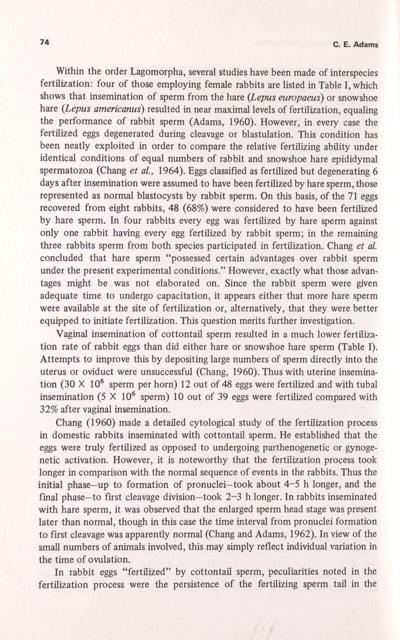 Within the order Lagomorpha, several studies have been made of interspecies fertilization: four of those employing female rabbits are listed in Table I, which shows that insemination of sperm from the hare ( Lepus europaeus ) or snowshoe hare ( Lepus americanus ) resulted in near maximal levels of fertilization, equaling the performance of rabbit sperm (Adams, 1960). However, in every case the fertilized eggs degenerated during cleavage or blastulation. This condition has been neatly exploited in order to compare the relative fertilizing ability under identical conditions of equal numbers of rabbit and snowshoe hare epididymal spermatozoa (Chang et al., 1964). Eggs classified as fertilized but degenerating 6 days after insemination were assumed to have been fertilized by hare sperm, those represented as normal blastocysts by rabbit sperm. On this basis, of the 71 eggs recovered from eight rabbits, 48 (68%) were considered to have been fertilized by hare sperm. In four rabbits every egg was fertilized by hare sperm against only one rabbit having every egg fertilized by rabbit sperm; in the remaining three rabbits sperm from both species participated in fertilization. Chang et al. concluded that hare sperm possessed certain advantages over rabbit sperm under the present experimental conditions. However, exactly what those advan tages might be was not elaborated on. Since the rabbit sperm were given adequate time to undergo capacitation, it appears either that more hare sperm were available at the site of fertilization or, alternatively, that they were better equipped to initiate fertilization. This question merits further investigation. Vaginal insemination of cottontail sperm resulted in a much lower fertiliza tion rate of rabbit eggs than did either hare or snowshoe hare sperm (Table I). Attempts to improve this by depositing large numbers of sperm directly into the uterus or oviduct were unsuccessful (Chang, 1960). Thus with uterine insemina tion (30 X 10 6 sperm per horn) 12 out of 48 eggs were fertilized and with tubal insemination (5 X 10 6 sperm) 10 out of 39 eggs were fertilized compared with 32% after vaginal insemination. Chang (1960) made a detailed cytological study of the fertilization process in domestic rabbits inseminated with cottontail sperm. He established that the eggs were truly fertilized as opposed to undergoing parthenogenetic or gynoge- netic activation. However, it is noteworthy that the fertilization process took longer in comparison with the normal sequence of events in the rabbits. Thus the initial phase—up to formation of pronuclei—took about 4-5 h longer, and the final phase—to first cleavage division—took 2-3 h longer. In rabbits inseminated with hare sperm, it was observed that the enlarged sperm head stage was present later than normal, though in this case the time interval from pronuclei formation to first cleavage was apparently normal (Chang and Adams, 1962). In view of the small numbers of animals involved, this may simply reflect individual variation in the time of ovulation. In rabbit eggs fertilized by cottontail sperm, peculiarities noted in the fertilization process were the persistence of the fertilizing sperm tail in the