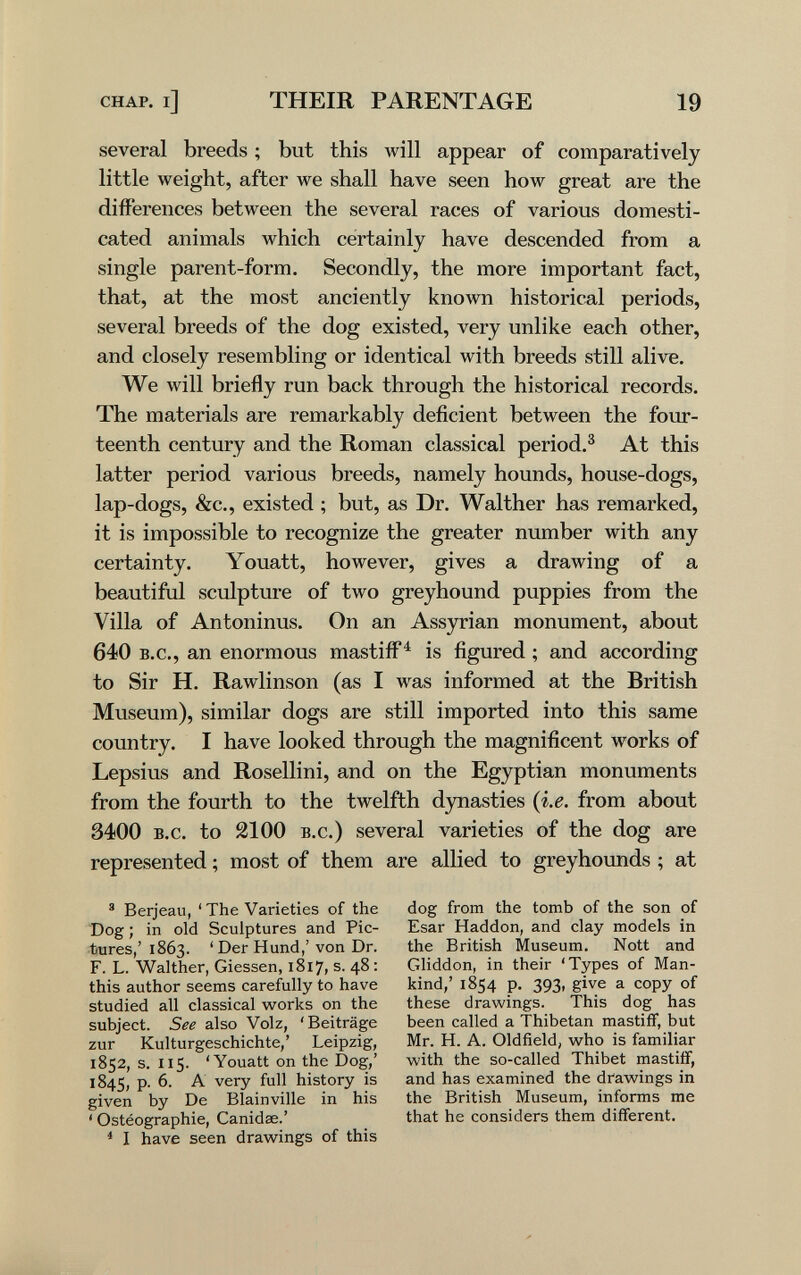 CHAP. l] THEIR PARENTAGE 19 several breeds ; but this will appear of comparatively little weight, after we shall have seen how great are the differences between the several races of various domesti¬ cated animals which certainly have descended from a single parent-form. Secondly, the more important fact, that, at the most anciently known historical periods, several breeds of the dog existed, very unlike each other, and closely resembling or identical with breeds still alive. We will briefly run back through the historical records. The materials are remarkably deficient between the four¬ teenth century and the Roman classical period.^ At this latter period various breeds, namely hounds, house-dogs, lap-dogs, &c., existed ; but, as Dr. Walther has remarked, it is impossible to recognize the greater number with any certainty. Youatt, however, gives a drawing of a beautiful sculpture of two greyhound puppies from the Villa of Antoninus. On an Assyrian monument, about 640 B.c., an enormous mastiff^ is figured ; and according to Sir H. Rawlinson (as I was informed at the British Museum), similar dogs are still imported into this same country. I have looked through the magnificent works of Lepsius and Rosellini, and on the Egyptian monuments from the fourth to the twelfth dynasties (i.e. from about 3400 B.c. to 2100 B.c.) several varieties of the dog are represented ; most of them are allied to greyhounds ; at ^ Berjeau, ' The Varieties of the Dog ; in old Sculptures and Pic¬ tures,' 1863. ' Der Hund,' von Dr. F. L. Walther, Glessen, 1817, s. 48 : this author seems carefully to have studied all classical vsrorks on the subject. See also Volz, 'Beiträge zur Kulturgeschichte,' Leipzig, 1852, s. 115. 'Youatt on the Dog,' 1845, P- history is given by De Blainville in his ' Ostéographie, Canidae.' * I have seen drawings of this dog from the tomb of the son of Esar Haddon, and clay models in the British Museum. Nott and Gliddon, in their 'Types of Man¬ kind,' 1854 p. 393, give a copy of these drawings. This dog has been called a Thibetan mastiff, but Mr. H. A. Oldfield, who is familiar with the so-called Thibet mastiff, and has examined the drawings in the British Museum, informs me that he considers them different.