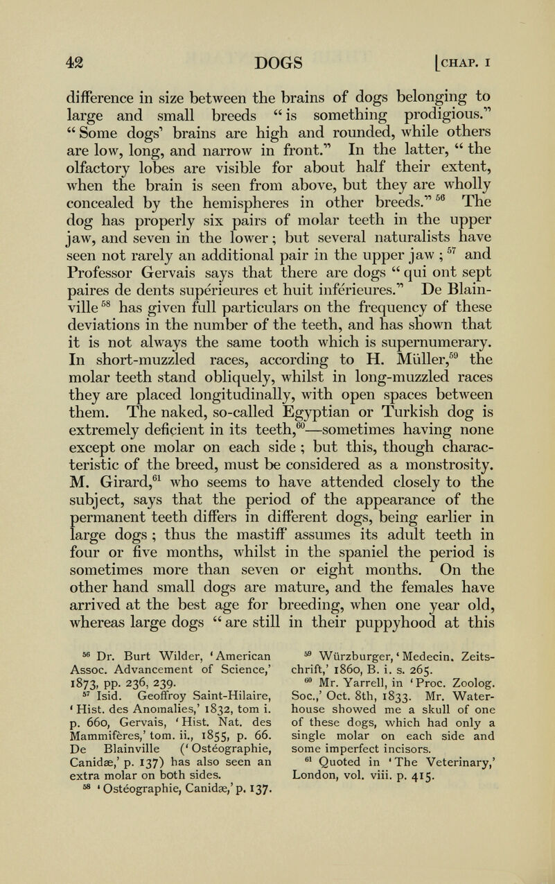 42 DOGS [chap. i difference in size between the brains of dogs belonging to large and small breeds  is something prodigious.  Some dogs' brains are high and rounded, while others are low, long, and narrow in front. In the latter,  the olfactory lobes are visible for about half their extent, when the brain is seen from above, but they are wholly concealed by the hemispheres in other breeds. The dog has properly six pairs of molar teeth in the upper jaw, and seven in the lower ; but several naturalists have seen not rarely an additional pair in the upper jaw ; and Professor Gervais says that there are dogs  qui ont sept paires de dents supérieures et huit inférieures. De Blain- ville has given full particulars on the frequency of these deviations in the number of the teeth, and has shown that it is not always the same tooth which is supernumerary. In short-muzzled races, according to H. Müller,®® the molar teeth stand obliquely, whilst in long-muzzled races they are placed longitudinally, with open spaces between them. The naked, so-called Egyptian or Turkish dog is extremely deficient in its teeth,®—sometimes having none except one molar on each side ; but this, though charac¬ teristic of the breed, must be considered as a monstrosity. M. Girard,®^ who seems to have attended closely to the subject, says that the period of the appearance of the permanent teeth differs in different dogs, being earlier in large dogs ; thus the mastiff assumes its adult teeth in four or five months, whilst in the spaniel the period is sometimes more than seven or eight months. On the other hand small dogs are mature, and the females have arrived at the best age for breeding, when one year old, whereas large dogs  are still in their puppyhood at this Dr. Burt Wilder, 'American Assoc. Advancement of Science,' 1873, pp. 236, 239.  Isid. Geoffroy Saint-Hilaire, ' Hist, des Anomalies,' 1832, tom i. p. 660, Gervais, 'Hist. Nat. des Mammifères,' tom. ii., 1855, p. 66. De Blainville (' Ostéographie, Canidse,' p. 137) has also seen an extra molar on both sides. ^ ' Ostéographie, Canid8e,'p. 137. ^ Würzburger, ' Medecin. Zeits¬ chrift,' i860, В. i. s. 265. Mr. Yarrell, in 'Proc. Zoolog. Soc.,' Oct. 8th, 1833. Mr. Water- house showed me a skull of one of these dogs, which had only a single molar on each side and some imperfect incisors. Quoted in ' The Veterinary,' London, vol. viii. p. 415.