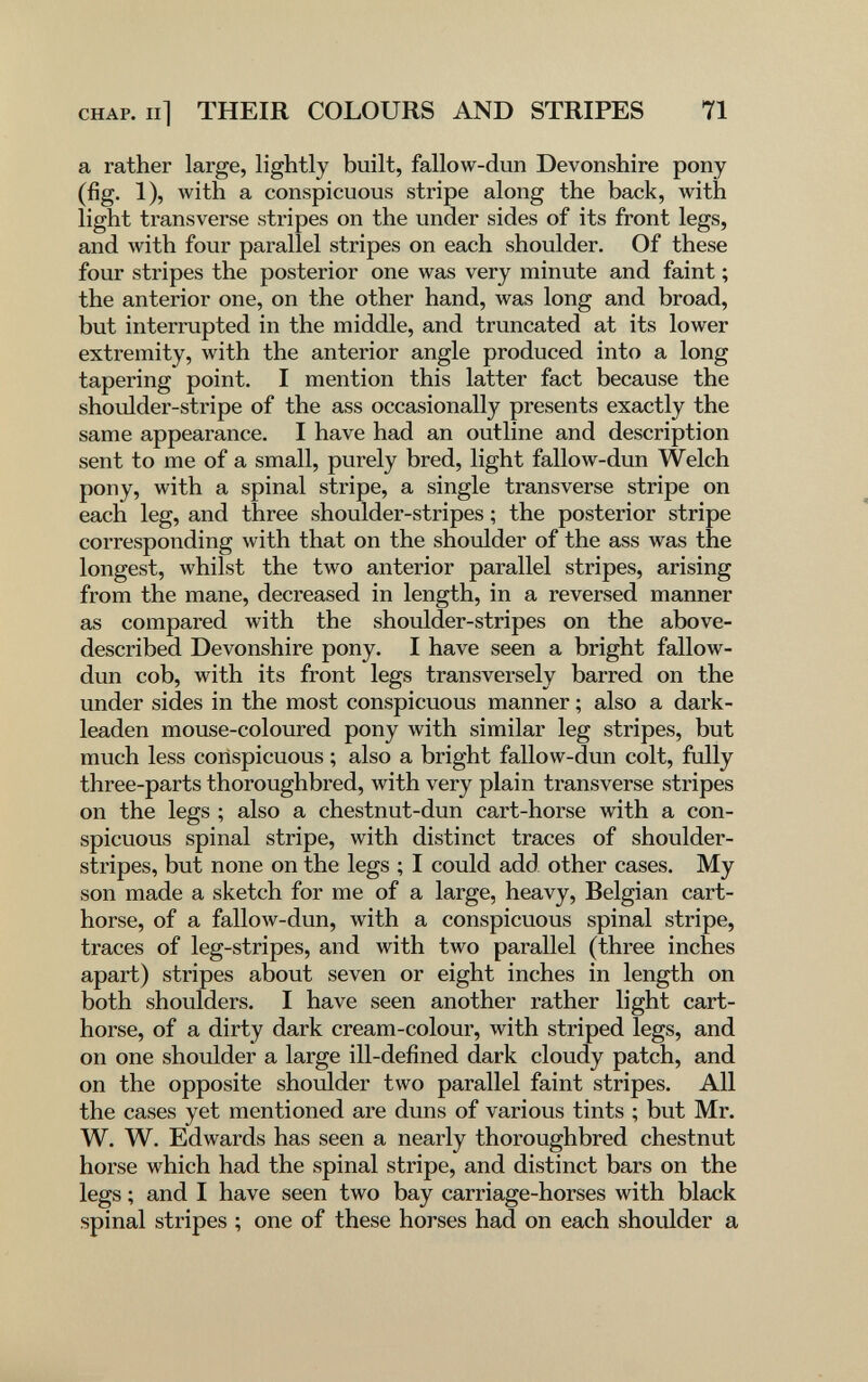 CHAP. Ill THEIR COLOURS AND STRIPES 71 a rather large, lightly built, fallow-dun Devonshire pony (fig. 1), with a conspicuous stripe along the back, with light transverse stripes on the under sides of its front legs, and with four parallel stripes on each shoulder. Of these four stripes the posterior one was very minute and faint ; the anterior one, on the other hand, was long and broad, but interrupted in the middle, and truncated at its lower extremity, with the anterior angle produced into a long tapering point. I mention this latter fact because the shoulder-stripe of the ass occasionally presents exactly the same appearance. I have had an outline and description sent to me of a small, purely bred, light fallow-dun Welch pony, with a spinal stripe, a single transverse stripe on each leg, and three shoulder-stripes ; the posterior stripe corresponding with that on the shoulder of the ass was the longest, whilst the two anterior parallel stripes, arising from the mane, decreased in length, in a reversed manner as compared with the shoulder-stripes on the above- described Devonshire pony. I have seen a bright fallow- dun cob, with its front legs transversely barred on the under sides in the most conspicuous manner ; also a dark- leaden mouse-coloured pony with similar leg stripes, but much less conspicuous ; also a bright fallow-dun colt, fully three-parts thoroughbred, with very plain transverse stripes on the legs ; also a chestnut-dun cart-horse with a con¬ spicuous spinal stripe, with distinct traces of shoulder- stripes, but none on the legs ; I could add other cases. My son made a sketch for me of a large, heavy, Belgian cart¬ horse, of a falloлv-dun, with a conspicuous spinal stripe, traces of leg-stripes, and with two parallel (three inches apart) stripes about seven or eight inches in length on both shoulders. I have seen another rather light cart¬ horse, of a dirty dark cream-colour, with striped legs, and on one shoulder a large ill-defined dark cloudy patch, and on the opposite shoulder two parallel faint stripes. All the cases yet mentioned are duns of various tints ; but Mr. W. W. Edwards has seen a nearly thoroughbred chestnut horse which had the spinal stripe, and distinct bars on the legs ; and I have seen two bay carriage-horses with black spinal stripes ; one of these horses had on each shoulder a