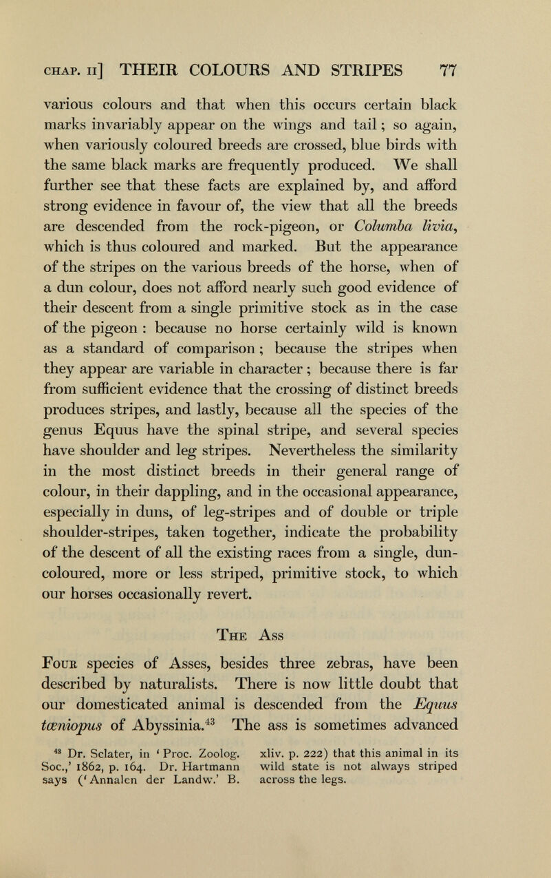 chap. il] THEIR COLOURS AND STRIPES 77 various colours and that when this occurs certain black marks invariably appear on the wings and tail ; so again, when variously coloured breeds are crossed, blue birds with the same black marks are frequently produced. We shall further see that these facts are explained by, and afford strong evidence in favour of, the view that all the breeds are descended from the rock-pigeon, or Columba lìvìa, which is thus coloured and marked. But the appearance of the stripes on the various breeds of the horse, when of a dun colour, does not affbrd nearly such good evidence of their descent from a single primitive stock as in the case of the pigeon : because no horse certainly wild is known as a standard of comparison ; because the stripes when they appear are variable in character ; because there is far from sufficient evidence that the crossing of distinct breeds produces stripes, and lastly, because all the species of the genus Equus have the spinal stripe, and several species have shoulder and leg stripes. Nevertheless the similarity in the most distinct breeds in their general range of colour, in their dappling, and in the occasional appearance, especially in duns, of leg-stripes and of double or triple shoulder-stripes, taken together, indicate the probability of the descent of all the existing races from a single, dun- coloured, more or less striped, primitive stock, to which our horses occasionally revert. The Ass Four species of Asses, besides three zebras, have been described by naturalists. There is now little doubt that our domesticated animal is descended from the Eqxius tœniopus of Abyssinia.^^ The ass is sometimes advanced Dr. Sclater, in ' Proc. Zoolog. xliv. p. 222) that this animal in its See.,' 1862, p. 164. Dr. Hartmann wild state is not always striped says ('Annalen der Landw.' B. across the legs.