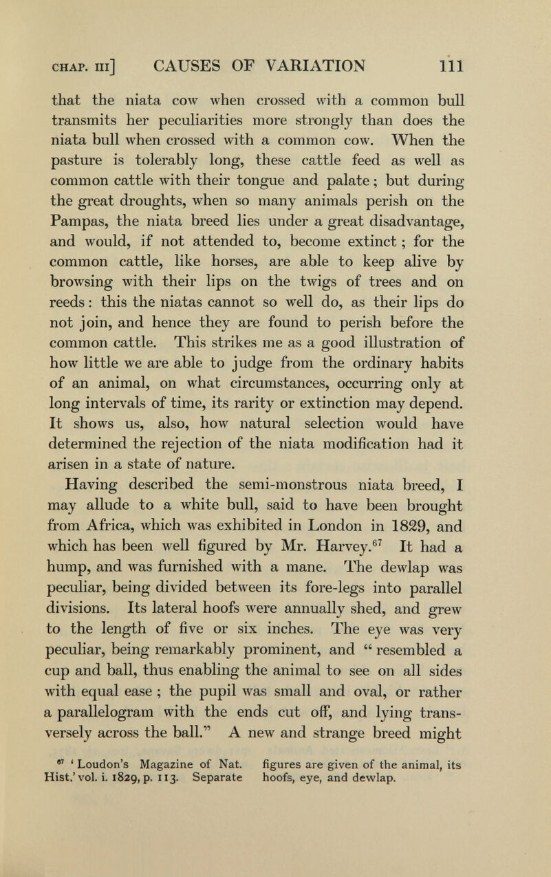 CHAP, ni] CAUSES OF VARIATION 111 that the niata cow луЬеп crossed with a common bull transmits her peculiarities more strongly than does the niata bull when crossed with a common cow. When the pasture is tolerably long, these cattle feed as well as common cattle with their tongue and palate ; but during the great droughts, when so many animals perish on the Pampas, the niata breed lies under a great disadvantage, and would, if not attended to, become extinct ; for the common cattle, like horses, are able to keep alive by browsing with their lips on the twigs of trees and on reeds : this the niatas cannot so well do, as their lips do not join, and hence they are found to perish before the common cattle. This strikes me as a good illustration of how little we are able to judge from the ordinary habits of an animal, on what circumstances, occurring only at long intervals of time, its rarity or extinction may depend. It shows us, also, how natural selection would have determined the rejection of the niata modification had it arisen in a state of nature. Having described the semi-monstrous niata breed, I may allude to a white bull, said to have been brought from Africa, which was exhibited in London in 1829, and which has been well figured by Mr. Harvey.®^ It had a hump, and was furnished with a mane. The dewlap was peculiar, being divided between its fore-legs into parallel divisions. Its lateral hoofs were annually shed, and grew to the length of five or six inches. The eye was very peculiar, being remarkably prominent, and  resembled a cup and ball, thus enabling the animal to see on all sides with equal ease ; the pupil was small and oval, or rather a parallelogram with the ends cut off, and lying trans¬ versely across the ball. A new and strange breed might  ' Loudon's Magazine of Nat. figures are given of the animal, its Hist.'vol. i. 1829, p. 113. Separate hoofs, eye, and dewlap.