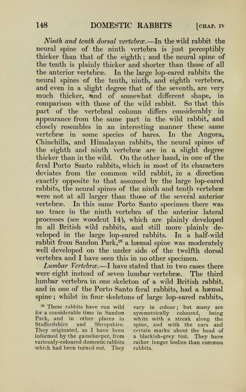 148 DOMESTIC RABBITS [chap, iv Ninth and tenth dorsal vertehrœ.—In the wild rabbit the neural spine of the ninth vertebra is just perceptibly thicker than that of the eighth ; and the neural spine of the tenth is plainly thicker and shorter than those of all the anterior vertebrae. In the large lop-eared rabbits the neural spines of the tenth, ninth, and eighth vertebrae, and even in a slight degree that of the seventh, are very much thicker, ^and of somewhat different shape, in comparison with those of the wild rabbit. So that this part of the vertebral column differs considerably in appearance from the same part in the wild rabbit, and closely resembles in an interesting manner these same vertebrae in some species of hares. In the Angora, Chinchilla, and Himalayan rabbits, the neural spines of the eighth and ninth vertebrae are in a slight degree thicker than in the wild. On the other hand, in one of the feral Porto Santo rabbits, which in most of its characters deviates from the common wild rabbit, in a direction exactly opposite to that assumed by the large lop-eared rabbits, the neural spines of the ninth and tenth vertebrae were not at all larger than those of the several anterior vertebrae. In this same Porto Santo specimen there was no trace in the ninth vertebra of the anterior lateral processes (see woodcut 14), which are plainly developed in all British wild rabbits, and still more plainly de¬ veloped in the large lop-eared rabbits. In a half-wild rabbit from Sandon Park,^® a haemal spine was moderately well developed on the under side of the twelfth dorsal vertebra and I have seen this in no other specimen. Lumbar Vertehrœ.—I have stated that in two cases there were eight instead of seven lumbar vertebrae. The third lumbar vertebra in one skeleton of a wild British rabbit, and in one of the Porto Santo feral rabbits, had a haemal spine ; whilst in four skeletons of large lop-eared rabbits, These rabbits have run wild vary in colour ; but many are for a considerable time in Sandon symmetrically coloured, being Park, and in other places in white with a streak along the Staffordshire and Shropshire. spine, and with the ears and They originated, as I have been certain marks about the head of informed by the gamekeeper, from a blackish-grey tint. They have variously-coloured domestic rabbits rather longer bodies than common which had been turned out. They rabbits.