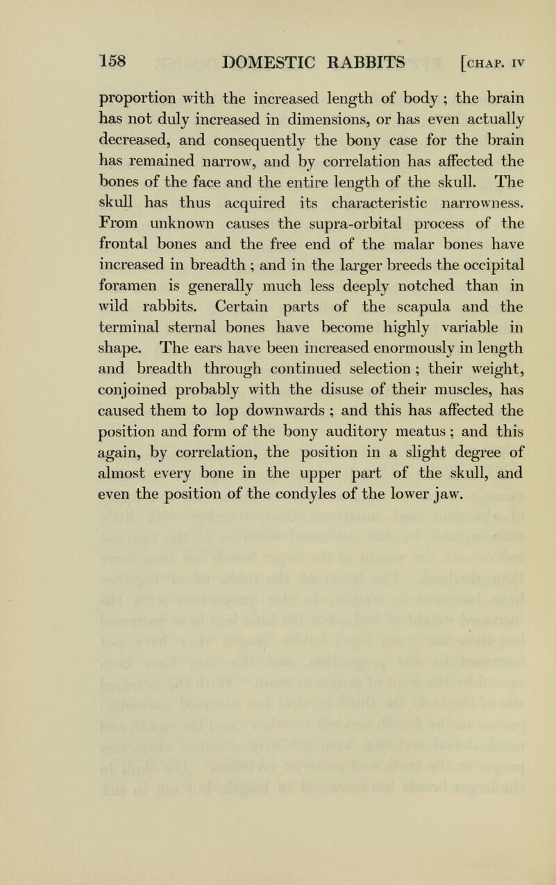 158 DOMESTIC RABBITS [chap, iv proportion with the increased length of body ; the brain has not duly increased in dimensions, or has even actually decreased, and consequently the bony case for the brain has remained narrow, and by correlation has affected the bones of the face and the entire length of the skull. The skull has thus acquired its characteristic narrowness. From unknown causes the supra-orbital process of the frontal bones and the free end of the malar bones have increased in breadth ; and in the larger breeds the occipital foramen is generally much less deeply notched than in wild rabbits. Certain parts of the scapula and the terminal sternal bones have become highly variable in shape. The ears have been increased enormously in length and breadth through continued selection ; their weight, conjoined probably with the disuse of their muscles, has caused them to lop downwards ; and this has affected the position and form of the bony auditory meatus ; and this again, by correlation, the position in a slight degree of almost every bone in the upper part of the skvdl, and even the position of the condyles of the lower jaw.