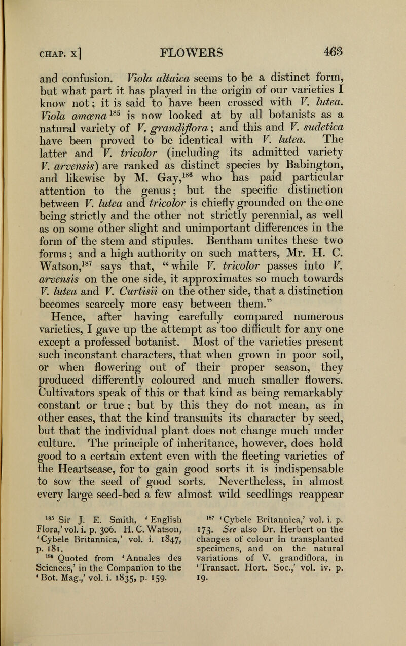 CHAP, x] FLOWERS 465 and confusion. Viola altaica seems to be a distinct form, but what part it has played in the origin of our varieties I know not ; it is said to have been crossed with V. lutea. Viola amœna is now looked at by all botanists as a natural variety of V. grandmava ; and this and V. sudetica have been proved to be identical with V. lutea. The latter and V. tricolor (including its admitted variety V. arvensis) are ranked as distinct species by Babington, and likewise by M. Gay,^^® who has paid particular attention to the genus; but the specific distinction between V. lutea and tricolor is chieily grounded on the one being strictly and the other not strictly perennial, as well as on some other slight and unimportant differences in the form of the stem and stipules. Bentham unites these two forms ; and a high authority on such matters, Mr. H. C. Watson,^**' says that, while V. tricolor passes into V. arvensis on the one side, it approximates so much towards V. lutea and V. Curtisii on the other side, that a distinction becomes scarcely more easy between them. Hence, after having carefully compared numerous varieties, I gave up the attempt as too difficult for any one except a professed botanist. Most of the varieties present such inconstant characters, that when grown in poor soil, or when flowering out of their proper season, they produced differently coloured and much smaller flowers. Cultivators speak of this or that kind as being remarkably constant or true ; but by this they do not mean, as in other cases, that the kind transmits its character by seed, but that the individual plant does not change much under culture. The principle of inheritance, however, does hold good to a certain extent even with the fleeting varieties of the Heartsease, for to gain good sorts it is indispensable to sow the seed of good sorts. Nevertheless, in almost every large seed-bed a few almost wild seedlings reappear Sir J. E. Smith, ' English Flora,' vol. i. p. 306. H. C. Watson, 'Cybele Britannica,' vol. i. 1847, p. 181. Quoted from 'Annales des Sciences,' in the Companion to the ' Bot. Mag.,' vol. i. 1835, p. 159. 'Cybele Britannica,' vol. i. p. 173. See also Dr. Herbert on the changes of colour in transplanted specimens, and on the natural variations of V. grandiflora, in 'Transact. Hort. Soc.,' vol. iv. p. 19.