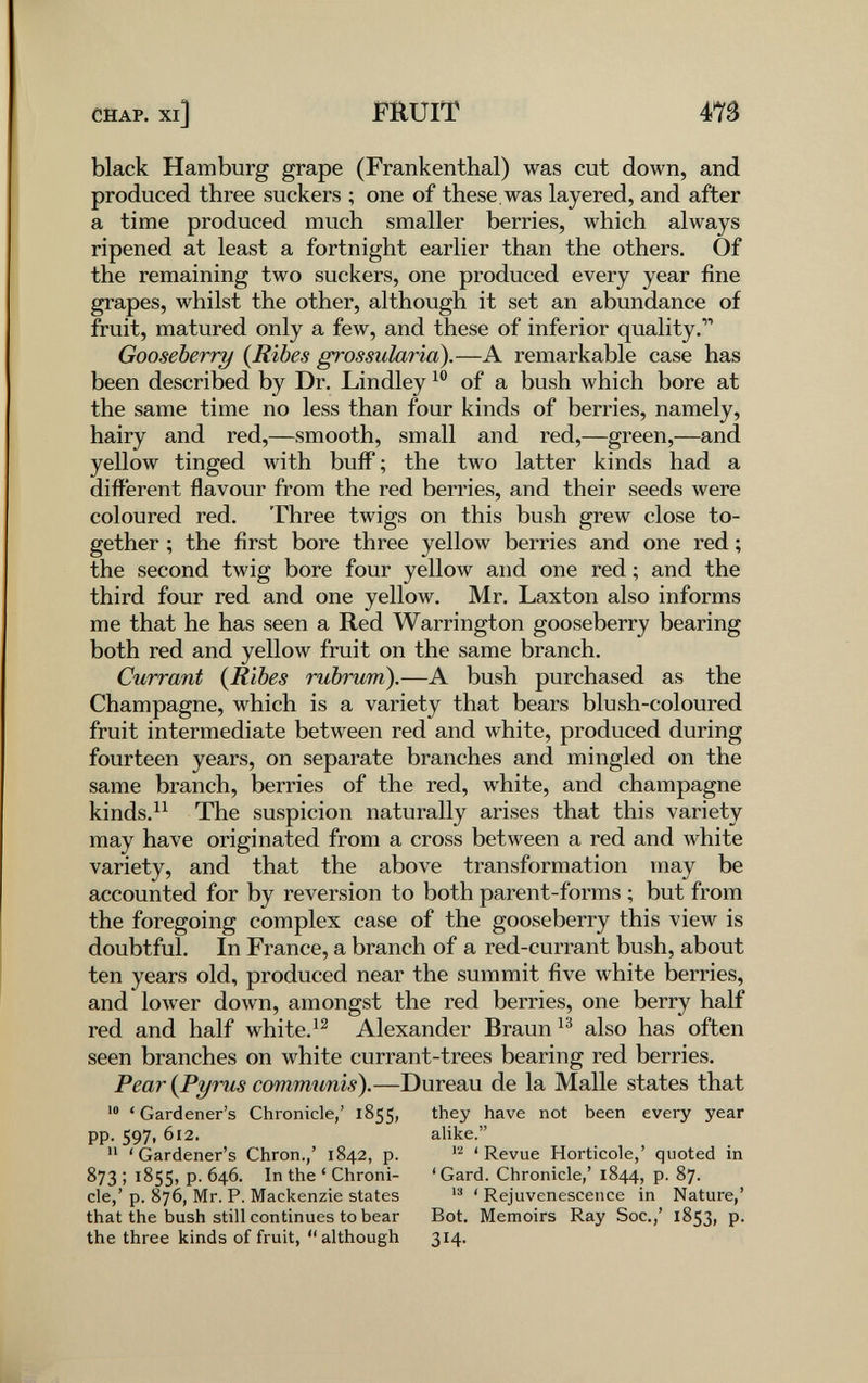 CHAP. Xl] FRUIT m black Hamburg grape (Frankenthal) was cut down, and produced three suckers ; one of these was layered, and after a time produced much smaller berries, which always ripened at least a fortnight earlier than the others. Of the remaining two suckers, one produced every year fine grapes, whilst the other, although it set an abundance of fruit, matured only a few, and these of inferior quality. Gooseberry {Ribes grossularia).—A remarkable case has been described by Dr. Lindley of a bush which bore at the same time no less than four kinds of berries, namely, hairy and red,—smooth, small and red,—green,—and yellow tinged with buíF ; the two latter kinds had a different flavour from the red berries, and their seeds were coloured red. Three twigs on this bush grew close to¬ gether ; the first bore three yellow berries and one red ; the second twig bore four yellow and one red ; and the third four red and one yellow. Mr. Laxton also informs me that he has seen a Red Warrington gooseberry bearing both red and yellow fruit on the same branch. Currant {Ribes rubrum).—A bush purchased as the Champagne, which is a variety that bears blush-coloured fruit intermediate between red and white, produced during fourteen years, on separate branches and mingled on the same branch, berries of the red, white, and champagne kinds.^^ The suspicion naturally arises that this variety may have originated from a cross between a red and white variety, and that the above transformation may be accounted for by reversion to both parent-forms ; but from the foregoing complex case of the gooseberry this view is doubtful. In France, a branch of a red-currant bush, about ten years old, produced near the summit five white berries, and lower down, amongst the red berries, one berry half red and half white.^^ Alexander Braun also has often seen branches on white currant-trees bearing red berries. Pear {Pyrus communis).—Dureau de la Malle states that 'Gardener's Chronicle,' 1855, they have not been every year pp. 597, 612. alike.  'Gardener's Chron./ 1842, p. 'Revue Horticole,' quoted in 873 ; 1855, p. 646. In the ' Chroni- ' Gard. Chronicle,' 1844, p. 87. ele,' p. 876, Mr. P. Mackenzie states ' Rejuvenescence in Nature,' that the bush still continues to bear Bot. Memoirs Ray Soc.,' 1853» P- the three kinds of fruit, although 314.