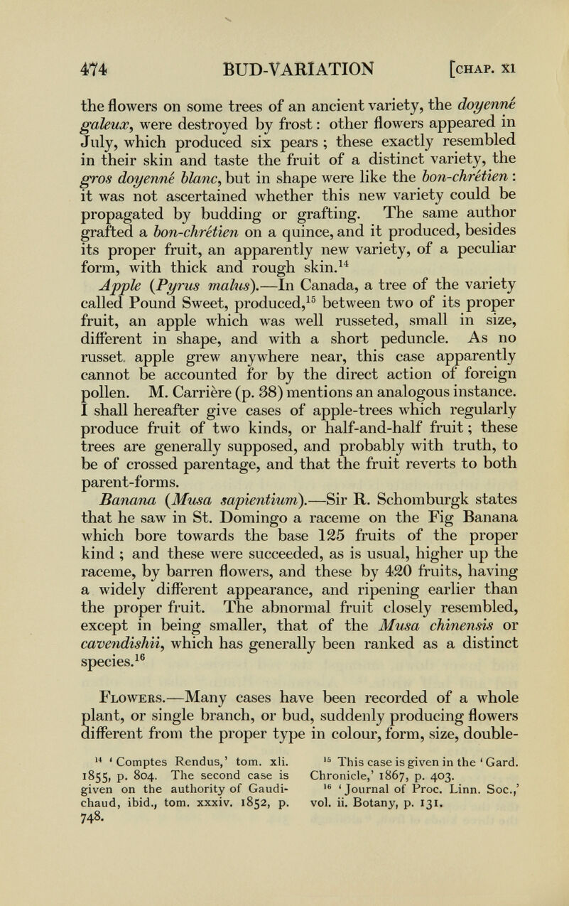 474 BUD-VARIATION [chap, xi the flowers on some trees of an ancient variety, the doyenné galeux^ were destroyed by frost : other flowers appeared in July, which produced six pears ; these exactly resembled in their skin and taste the fruit of a distinct variety, the gros doyenné Ыапс, but in shape were like the bon-chrétien : it was not ascertained \vhether this new variety could be propagated by budding or grafting. The same author grafted a bon-chrétien on a quince, and it produced, besides its proper fruit, an apparently new variety, of a peculiar form, with thick and rough skin.^^ Apple {Pyrus malus).—In Canada, a tree of the variety called Pound Sweet, produced,^® between two of its proper fruit, an apple which was well russeted, small in size, different in shape, and with a short peduncle. As no russet, apple grew anywhere near, this case apparently cannot be accounted for by the direct action of foreign pollen. M. Carrière (p. 38) mentions an analogous instance. I shall hereafter give cases of apple-trees which regularly produce fruit of two kinds, or half-and-half fruit ; these trees are generally supposed, and probably with truth, to be of crossed parentage, and that the fruit reverts to both parent-forms. Banana {Musa sapientium).—Sir R. Schomburgk states that he saw in St. Domingo a raceme on the Fig Banana which bore towards the base 125 fruits of the proper kind ; and these were succeeded, as is usual, higher up the raceme, by barren flowers, and these by 420 fruits, having a widely different appearance, and ripening earlier than the proper fruit. The abnormal fruit closely resembled, except in being smaller, that of the Мша chinensis or cavendishii, which has generally been ranked as a distinct species. Flowers.—Many cases have been recorded of a whole plant, or single branch, or bud, suddenly producing flowers different from the proper type in colour, form, size, double- ' Comptes Rendus,' torn. xli. 1855, p. 804. The second case is given on the authority of Gaudi- chaud, ibid., torn, xxxiv. 1852, p. 748. This case is given in the ' Gard. Chronicle,' 1867, p. 403. 'Journal of Proc. Linn. Soc.,' vol. ii. Botany, p. 131.