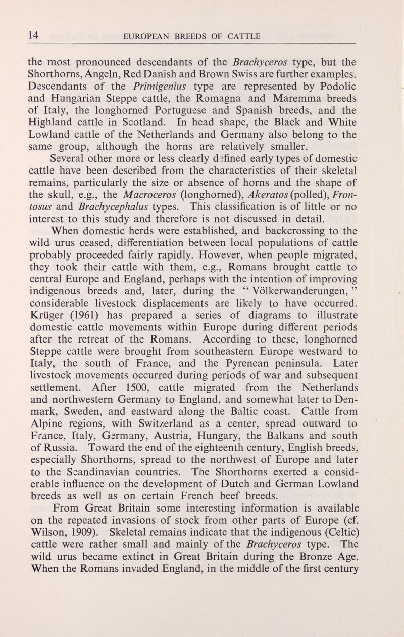 the most pronounced descendants of the Brachyceros type, but the Shorthorns, Angeln, Red Danish and Brown Swiss are further examples. Descendants of the Primigenius type are represented by Podolic and Hungarian Steppe cattle, the Romagna and Maremma breeds of Italy, the longhorned Portuguese and Spanish breeds, and the Highland cattle in Scotland. In head shape, the Black and White Lowland cattle of the Netherlands and Germany also belong to the same group, although the horns are relatively smaller. Several other more or less clearly d efined early types of domestic cattle have been described from the characteristics of their skeletal remains, particularly the size or absence of horns and the shape of the skull, e.g., the Macroceros (longhorned), Akeratos (polled), Fron tosus and Brachycephalus types. This classification is of little or no interest to this study and therefore is not discussed in detail. When domestic herds were established, and backcrossing to the wild urus ceased, differentiation between local populations of cattle probably proceeded fairly rapidly. However, when people migrated, they took their cattle with them, e.g., Romans brought cattle to central Europe and England, perhaps with the intention of improving indigenous breeds and, later, during the “ Völkerwanderungen, ” considerable livestock displacements are likely to have occurred. Krüger (1961) has prepared a series of diagrams to illustrate domestic cattle movements within Europe during different periods after the retreat of the Romans. According to these, longhorned Steppe cattle were brought from southeastern Europe westward to Italy, the south of France, and the Pyrenean peninsula. Later livestock movements occurred during periods of war and subsequent settlement. After 1500, cattle migrated from the Netherlands and northwestern Germany to England, and somewhat later to Den mark, Sweden, and eastward along the Baltic coast. Cattle from Alpine regions, with Switzerland as a center, spread outward to France, Italy, Germany, Austria, Hungary, the Balkans and south of Russia. Toward the end of the eighteenth century, English breeds, especially Shorthorns, spread to the northwest of Europe and later to the Scandinavian countries. The Shorthorns exerted a consid erable influence on the development of Dutch and German Lowland breeds as well as on certain French beef breeds. From Great Britain some interesting information is available on the repeated invasions of stock from other parts of Europe (cf. Wilson, 1909). Skeletal remains indicate that the indigenous (Celtic) cattle were rather small and mainly of the Brachyceros type. The wild urus became extinct in Great Britain during the Bronze Age. When the Romans invaded England, in the middle of the first century