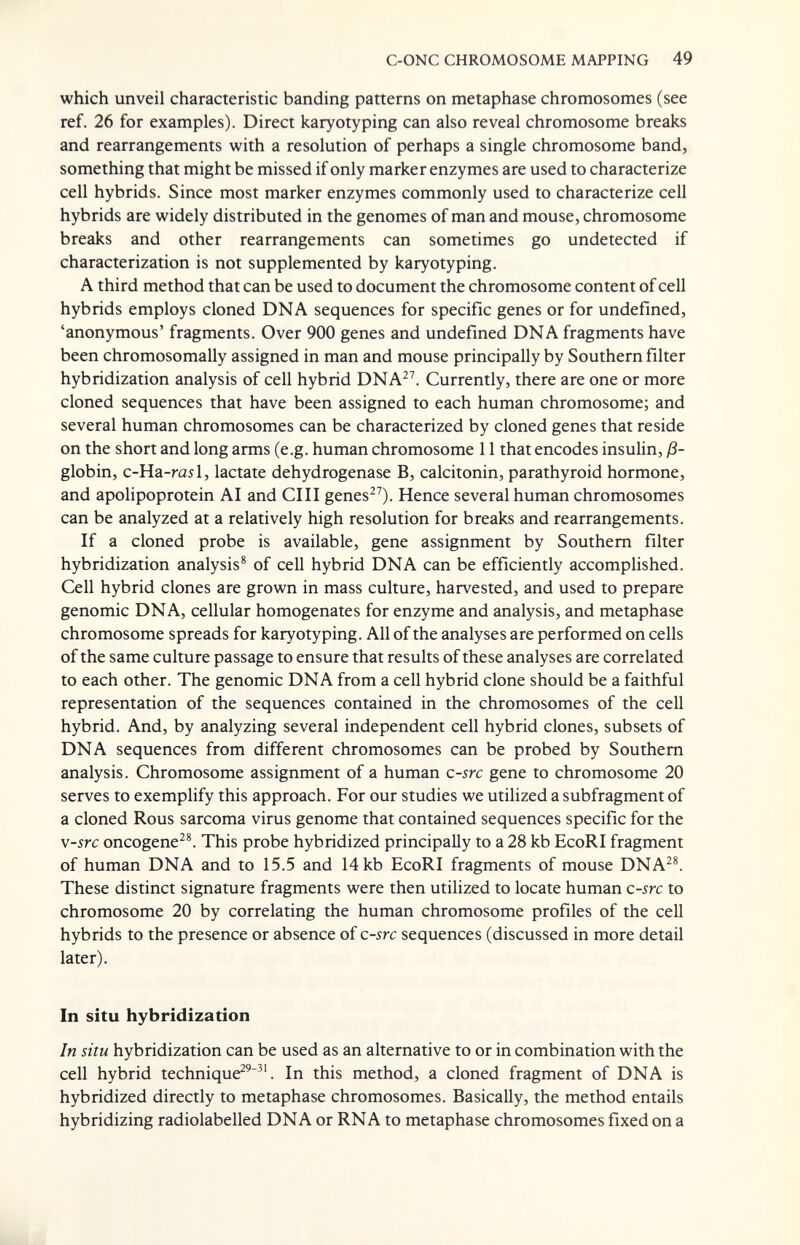 C-ONC CHROMOSOME MAPPING 49 which unveil characteristic banding patterns on metaphase chromosomes (see ref. 26 for examples). Direct karyotyping can also reveal chromosome breaks and rearrangements with a resolution of perhaps a single chromosome band, something that might be missed if only marker enzymes are used to characterize cell hybrids. Since most marker enzymes commonly used to characterize cell hybrids are widely distributed in the genomes of man and mouse, chromosome breaks and other rearrangements can sometimes go undetected if characterization is not supplemented by karyotyping. A third method that can be used to document the chromosome content of cell hybrids employs cloned DNA sequences for specific genes or for undefined, 'anonymous' fragments. Over 900 genes and undefined DNA fragments have been chromosomally assigned in man and mouse principally by Southern filter hybridization analysis of cell hybrid DNA^^ Currently, there are one or more cloned sequences that have been assigned to each human chromosome; and several human chromosomes can be characterized by cloned genes that reside on the short and long arms (e.g. human chromosome 11 that encodes insulin, ß- globin, c-Ha-rasl, lactate dehydrogenase B, calcitonin, parathyroid hormone, and apolipoprotein AI and CIII genes^^). Hence several human chromosomes can be analyzed at a relatively high resolution for breaks and rearrangements. If a cloned probe is available, gene assignment by Southern filter hybridization analysis^ of cell hybrid DNA can be efficiently accomplished. Cell hybrid clones are grown in mass culture, harvested, and used to prepare genomic DNA, cellular homogenates for enzyme and analysis, and metaphase chromosome spreads for karyotyping. All of the analyses are performed on cells of the same culture passage to ensure that results of these analyses are correlated to each other. The genomic DNA from a cell hybrid clone should be a faithful representation of the sequences contained in the chromosomes of the cell hybrid. And, by analyzing several independent cell hybrid clones, subsets of DNA sequences from different chromosomes can be probed by Southern analysis. Chromosome assignment of a human c-src gene to chromosome 20 serves to exemplify this approach. For our studies we utilized a subfragment of a cloned Rous sarcoma virus genome that contained sequences specific for the v-src oncogene^^ This probe hybridized principally to a 28 kb EcoRI fragment of human DNA and to 15.5 and 14 kb EcoRI fragments of mouse DNA^®. These distinct signature fragments were then utilized to locate human c-src to chromosome 20 by correlating the human chromosome profiles of the cell hybrids to the presence or absence of c-src sequences (discussed in more detail later). In situ hybridization In situ hybridization can be used as an alternative to or in combination with the cell hybrid technique^^^'. In this method, a cloned fragment of DNA is hybridized directly to metaphase chromosomes. Basically, the method entails hybridizing radiolabelled DNA or RNA to metaphase chromosomes fixed on a