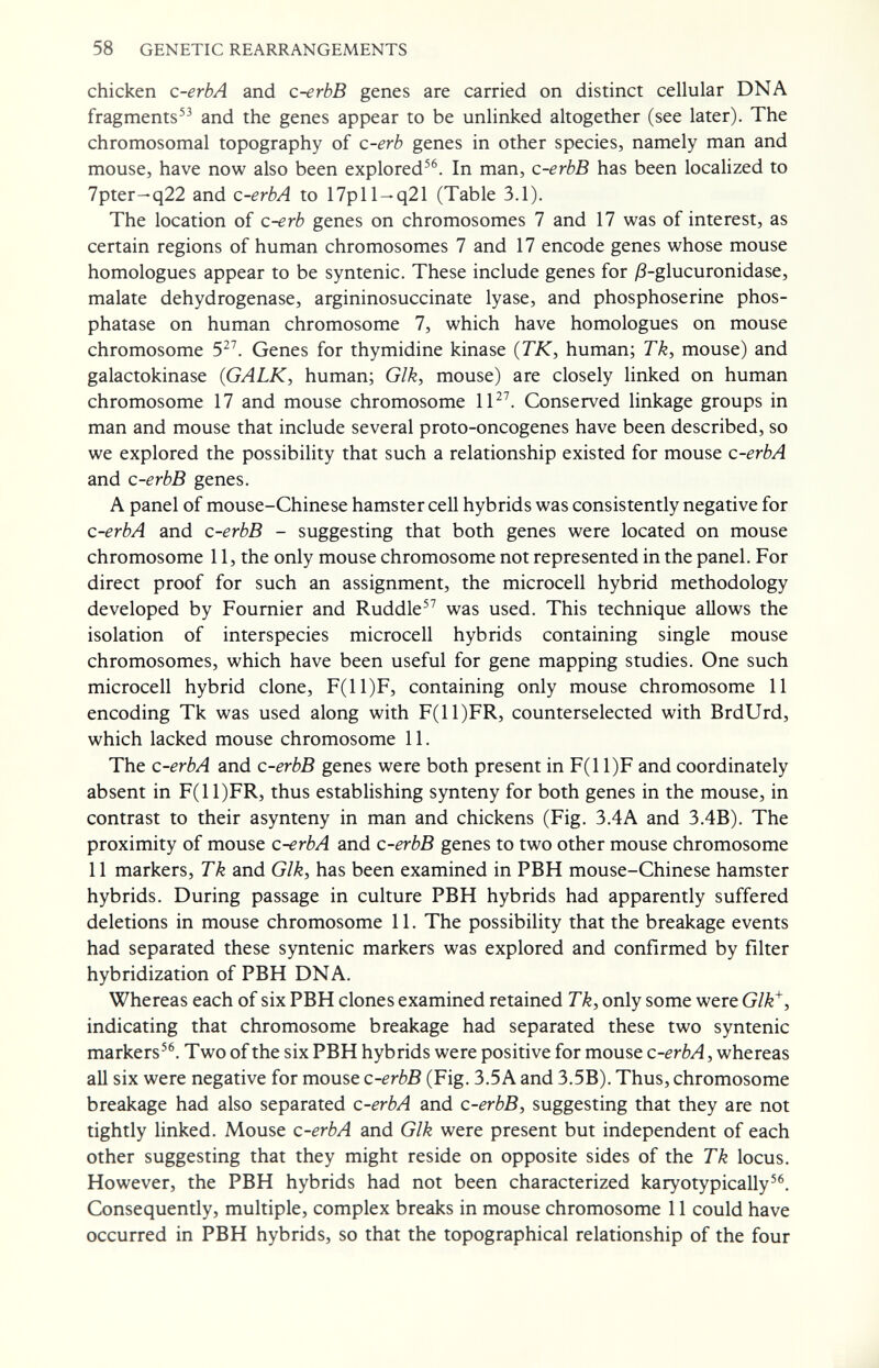 58 GENETIC REARRANGEMENTS chicken c-erbA and c-erbB genes are carried on distinct cellular DNA fragments and the genes appear to be unlinked altogether (see later). The chromosomal topography of c-erb genes in other species, namely man and mouse, have now also been explored^^. In man, c-erbB has been localized to 7pter-q22 and c-erbA to 17pll-q21 (Table 3.1). The location of c-erb genes on chromosomes 7 and 17 was of interest, as certain regions of human chromosomes 7 and 17 encode genes whose mouse homologues appear to be syntenic. These include genes for ^-glucuronidase, malate dehydrogenase, argininosuccinate lyase, and phosphoserine phos¬ phatase on human chromosome 7, which have homologues on mouse chromosome 5^^ Genes for thymidine kinase (TK, human; Tk, mouse) and galactokinase (GALK, human; Glk, mouse) are closely linked on human chromosome 17 and mouse chromosome \\^\ Conserved linkage groups in man and mouse that include several proto-oncogenes have been described, so we explored the possibility that such a relationship existed for mouse c-erbA and C-erbB genes. A panel of mouse-Chinese hamster cell hybrids was consistently negative for C-erbA and c-erbB - suggesting that both genes were located on mouse chromosome 11, the only mouse chromosome not represented in the panel. For direct proof for such an assignment, the microcell hybrid methodology developed by Foumier and Ruddle was used. This technique allows the isolation of interspecies microcell hybrids containing single mouse chromosomes, which have been useful for gene mapping studies. One such microcell hybrid clone, F(11)F, containing only mouse chromosome 11 encoding Tk was used along with F(11)FR, counterselected with BrdUrd, which lacked mouse chromosome 11. The C-erbA and c-erbB genes were both present in F(11)F and coordinately absent in F(11)FR, thus establishing synteny for both genes in the mouse, in contrast to their asynteny in man and chickens (Fig. 3.4A and 3.4B). The proximity of mouse c-erbA and c-erbB genes to two other mouse chromosome 11 markers, Tk and Glk, has been examined in PBH mouse-Chinese hamster hybrids. During passage in culture PBH hybrids had apparently suffered deletions in mouse chromosome 11. The possibility that the breakage events had separated these syntenic markers was explored and confirmed by filter hybridization of PBH DNA. Whereas each of six PBH clones examined retained Tk, only some were Glk^, indicating that chromosome breakage had separated these two syntenic markers. Two of the six PBH hybrids were positive for mouse c-^rM, whereas all six were negative for mouse c-erbB (Fig. 3.5A and 3.5B). Thus, chromosome breakage had also separated c-erbA and c-erbB, suggesting that they are not tightly linked. Mouse c-erbA and Glk were present but independent of each other suggesting that they might reside on opposite sides of the Tk locus. However, the PBH hybrids had not been characterized karyotypically. Consequently, multiple, complex breaks in mouse chromosome 11 could have occurred in PBH hybrids, so that the topographical relationship of the four