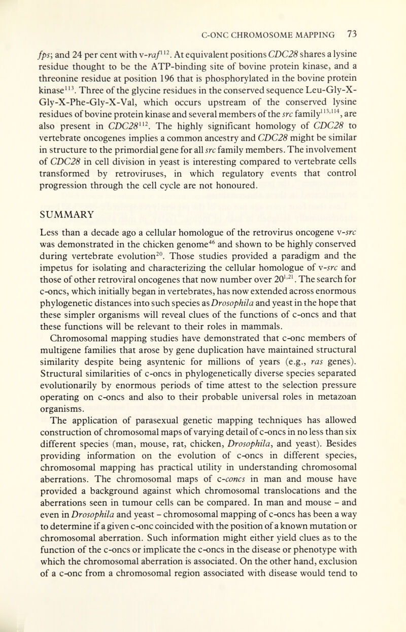 C-ONC CHROMOSOME MAPPING 73 fps', and 24 per cent with v-rap At equivalent positions CDC28 shares a lysine residue thought to be the ATP-binding site of bovine protein kinase, and a threonine residue at position 196 that is phosphorylated in the bovine protein kinase Three of the glycine residues in the conserved sequence Leu-Gly-X- Gly-X-Phe-Gly-X-Val, which occurs upstream of the conserved lysine residues of bovine protein kinase and several members of the src family' are also present in CZ)C25^. The highly significant homology of CDC28 to vertebrate oncogenes implies a common ancestry and CDC28 might be similar in structure to the primordial gene for all src family members. The involvement of CDC28 in cell division in yeast is interesting compared to vertebrate cells transformed by retroviruses, in which regulatory events that control progression through the cell cycle are not honoured. SUMMARY Less than a decade ago a cellular homologue of the retrovirus oncogene v-src was demonstrated in the chicken genome'*^ and shown to be highly conserved during vertebrate evolution^. Those studies provided a paradigm and the impetus for isolating and characterizing the cellular homologue of v-src and those of other retroviral oncogenes that now number over 20''^'. The search for c-oncs, which initially began in vertebrates, has now extended across enormous phylogenetic distances into such species as Drosophila and yeast in the hope that these simpler organisms will reveal clues of the functions of c-oncs and that these functions will be relevant to their roles in mammals. Chromosomal mapping studies have demonstrated that c-onc members of multigene families that arose by gene duplication have maintained structural similarity despite being asyntenic for millions of years (e.g., ras genes). Structural similarities of c-oncs in phylogenetically diverse species separated evolutionarily by enormous periods of time attest to the selection pressure operating on c-oncs and also to their probable universal roles in metazoan organisms. The application of parasexual genetic mapping techniques has allowed construction of chromosomal maps of varying detail of c-oncs in no less than six different species (man, mouse, rat, chicken, Drosophila, and yeast). Besides providing information on the evolution of c-oncs in different species, chromosomal mapping has practical utility in understanding chromosomal aberrations. The chromosomal maps of c-concs in man and mouse have provided a background against which chromosomal translocations and the aberrations seen in tumour cells can be compared. In man and mouse - and even in Drosophila and yeast - chromosomal mapping of c-oncs has been a way to determine if a given c-onc coincided with the position of a known mutation or chromosomal aberration. Such information might either yield clues as to the function of the c-oncs or implicate the c-oncs in the disease or phenotype with which the chromosomal aberration is associated. On the other hand, exclusion of a c-onc from a chromosomal region associated with disease would tend to