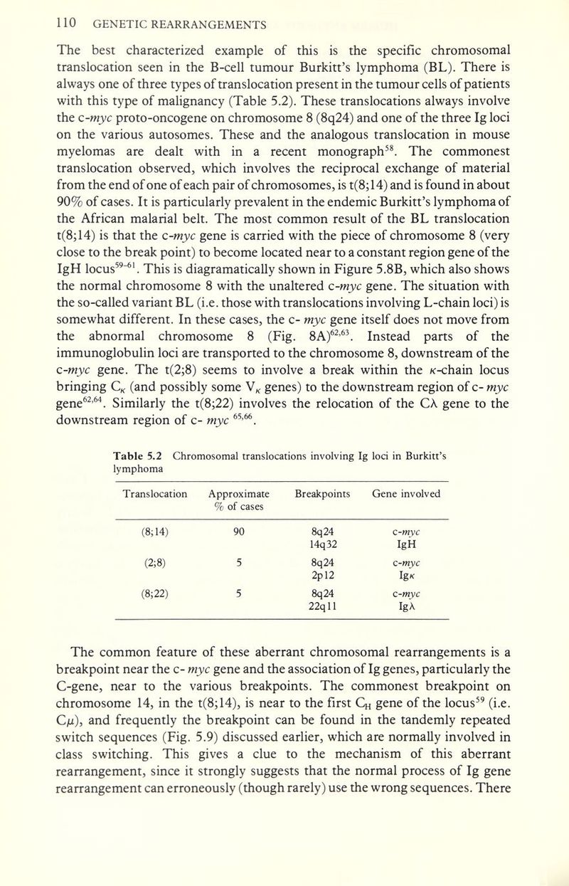 110 GENETIC REARRANGEMENTS The best characterized example of this is the specific chromosomal translocation seen in the B-cell tumour Burkitt's lymphoma (BL). There is always one of three types of translocation present in the tumour cells of patients with this type of malignancy (Table 5.2). These translocations always involve the c-myc proto-oncogene on chromosome 8 (8q24) and one of the three Ig loci on the various autosomes. These and the analogous translocation in mouse myelomas are dealt with in a recent monograph^^ The commonest translocation observed, which involves the reciprocal exchange of material from the end of one of each pair of chromosomes, is t(8; 14) and is found in about 90% of cases. It is particularly prevalent in the endemic Burkitt's lymphoma of the African malarial belt. The most common result of the BL translocation t(8;14) is that the c-myc gene is carried with the piece of chromosome 8 (very close to the break point) to become located near to a constant region gene of the IgH locus^^^'. This is diagramatically shown in Figure 5.8B, which also shows the normal chromosome 8 with the unaltered c-myc gene. The situation with the so-called variant BL (i.e. those with translocations involving L-chain loci) is somewhat different. In these cases, the c- myc gene itself does not move from the abnormal chromosome 8 (Fig. 8A)^^'^^. Instead parts of the immunoglobulin loci are transported to the chromosome 8, downstream of the c-myc gene. The t(2;8) seems to involve a break within the K-chain locus bringing (and possibly some genes) to the downstream region of c- myc gene^^'^*. Similarly the t(8;22) involves the relocation of the CÀ gene to the downstream region of c- myc Table 5.2 Chromosomal translocations involving Ig loci in Burkitt's lymphoma The common feature of these aberrant chromosomal rearrangements is a breakpoint near the c- myc gene and the association of Ig genes, particularly the C-gene, near to the various breakpoints. The commonest breakpoint on chromosome 14, in the t(8;14), is near to the first Сн gene of the locus^^ (i.e. C)u), and frequently the breakpoint can be found in the tandemly repeated switch sequences (Fig. 5.9) discussed earlier, which are normally involved in class switching. This gives a clue to the mechanism of this aberrant rearrangement, since it strongly suggests that the normal process of Ig gene rearrangement can erroneously (though rarely) use the wrong sequences. There