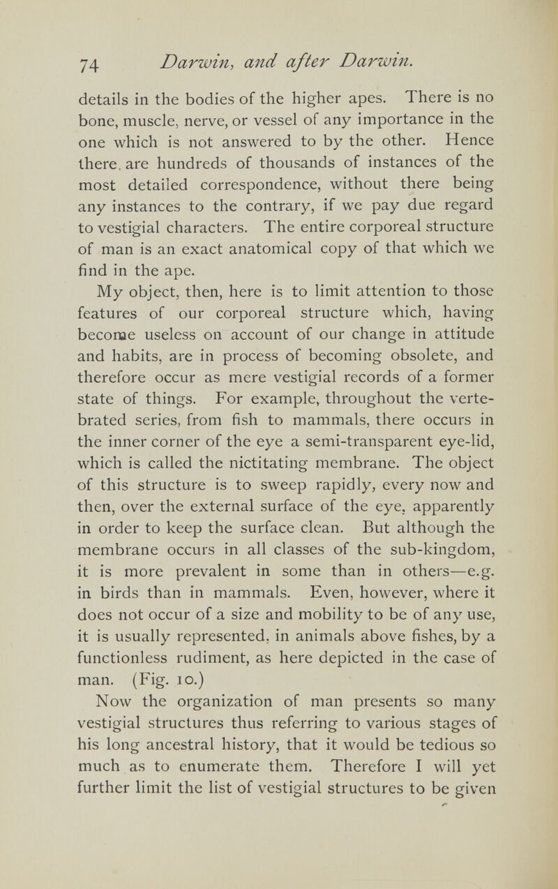 details in the bodies of the higher apes. There is no bone, muscle, nerve, or vessel of any importance in the one which is not answered to by the other. Hence there, are hundreds of thousands of instances of the most detailed correspondence, without there being any instances to the contrary, if we pay due regard to vestigial characters. The entire corporeal structure of man is an exact anatomical copy of that which we find in the ape. My object, then, here is to limit attention to those features of our corporeal structure which, having become useless on account of our change in attitude and habits, are in process of becoming obsolete, and therefore occur as mere vestigial records of a former state of things. For example, throughout the verte- brated series, from fish to mammals, there occurs in the inner corner of the eye a semi-transparent eye-lid, which is called the nictitating membrane. The object of this structure is to sweep rapidly, every now and then, over the external surface of the eye, apparently in order to keep the surface clean. But although the membrane occurs in all classes of the sub-kingdom, it is more prevalent in some than in others—e.g. in birds than in mammals. Even, however, where it does not occur of a size and mobility to be of any use, it is usually represented, in animals above fishes, by a functionless rudiment, as here depicted in the case of man. (Fig. io.) Now the organization of man presents so many vestigial structures thus referring to various stages of his long ancestral history, that it would be tedious so much as to enumerate them. Therefore I will yet further limit the list of vestigial structures to be given