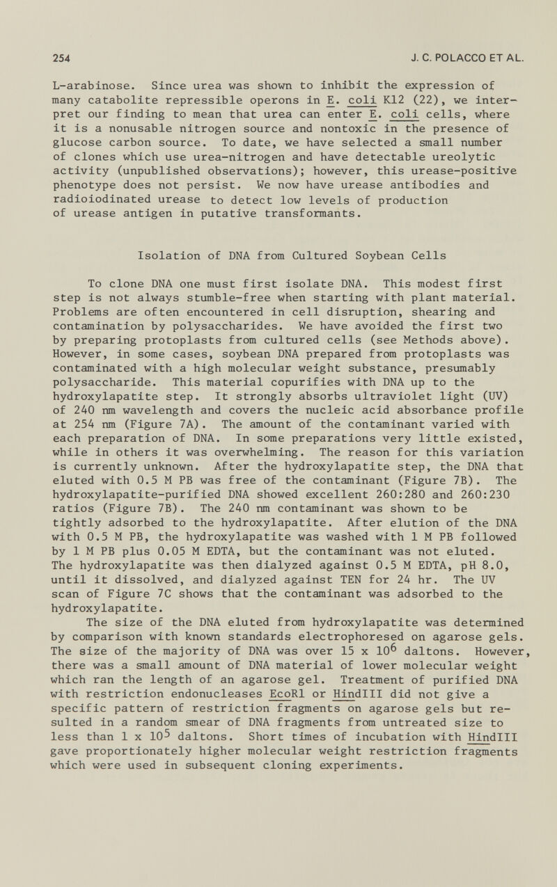 L-arabinose. Since urea was shown to inhibit the expression of many catabolite repressible opérons in E. coli K 12 C 22 ), we inter pret our finding to mean that urea can enter _E. coli cells, where it is a nonusable nitrogen source and nontoxic in the presence of glucose carbon source. To date, we have selected a small number of clones which use urea-nitrogen and have detectable ureolytic activity (unpublished observations); however, this urease-positive phenotype does not persist. We now have urease antibodies and radioiodinated urease to detect low levels of production of urease antigen in putative transformants. Isolation of DNA from Cultured Soybean Cells To clone DNA one must first isolate DNA. This modest first step is not always stumble-free when starting with plant material. Problems are often encountered in cell disruption, shearing and contamination by polysaccharides. We have avoided the first two by preparing protoplasts from cultured cells (see Methods above). However, in some cases, soybean DNA prepared from protoplasts was contaminated with a high molecular weight substance, presumably polysaccharide. This material copurifies with DNA up to the hydroxylapatite step. It strongly absorbs ultraviolet light (UV) of 240 nm wavelength and covers the nucleic acid absorbance profile at 254 nm (Figure 7A). The amount of the contaminant varied with each preparation of DNA. In some preparations very little existed, while in others it was overwhelming. The reason for this variation is currently unknown. After the hydroxylapatite step, the DNA that eluted with 0.5 M PB was free of the contaminant (Figure 7B). The hydroxylapatite-purified DNA showed excellent 260:280 and 260:230 ratios (Figure 7B). The 240 nm contaminant was shown to be tightly adsorbed to the hydroxylapatite. After elution of the DNA with 0.5 M PB, the hydroxylapatite was washed with 1 M PB followed by 1 M PB plus 0.05 M EDTA, but the contaminant was not eluted. The hydroxylapatite was then dialyzed against 0.5 M EDTA, pH 8.0, until it dissolved, and dialyzed against TEN for 24 hr. The UV scan of Figure 7C shows that the contaminant was adsorbed to the hydroxylapatite. The size of the DNA eluted from hydroxylapatite was determined by comparison with known standards electrophoresed on agarose gels. The size of the majority of DNA was over 15 x 10^ daltons. However, there was a small amount of DNA material of lower molecular weight which ran the length of an agarose gel. Treatment of purified DNA with restriction endonucleases EcoR l or Hin dlll did not give a specific pattern of restriction fragments on agarose gels but re sulted in a random smear of DNA fragments from untreated size to less than 1 x 10^ daltons. Short times of incubation with Hin dlll gave proportionately higher molecular weight restriction fragments which were used in subsequent cloning experiments.