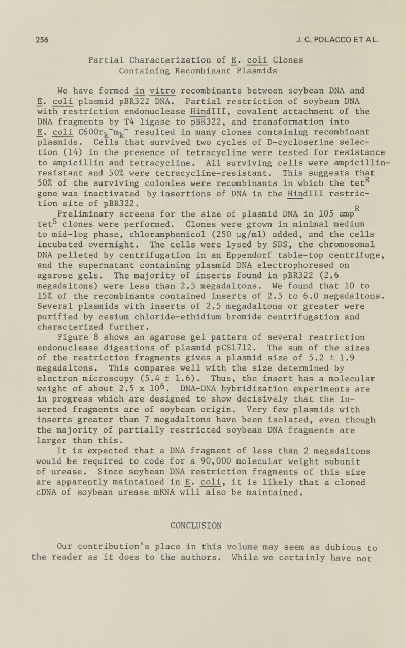 Partial Characterization of _E. coli Clones Containing Recombinant Plasmids We have formed _in vitro recombinants between soybean DNA and E. coli plasmid pBR322 DNA. Partial restriction of soybean DNA with restriction endonuclease Hind lll, covalent attachment of the DNA fragments by T4 ligase to pBR322, and transformation into _E. coli CbOOr^-m^ - resulted in many clones containing recombinant plasmids. Cells that survived two cycles of D-cycloserine selec tion (14) in the presence of tetracycline were tested for resistance to ampicillin and tetracycline. All surviving cells were ampicillin- resistant and 50% were tetracycline-resistant. This suggests that 50% of the surviving colonies were recombinants in which the tet^ gene was inactivated by insertions of DNA in the Hin dlll restric tion site of pBR322. Preliminary screens for the size of plasmid DNA in 105 amp tefS clones were performed. Clones were grown in minimal medium to mid-log phase, chloramphenicol (250 yg/ml) added, and the cells incubated overnight. The cells were lysed by SDS, the chromosomal DNA pelleted by centrifugation in an Eppendorf table-top centrifuge, and the supernatant containing plasmid DNA electrophoresed on agarose gels. The majority of inserts found in pBR322 (2.6 megadaltons) were less than 2.5 megadaltons. We found that 10 to 15% of the recombinants contained inserts of 2.5 to 6.0 megadaltons. Several plasmids with inserts of 2.5 megadaltons or greater were purified by cesium chloride-ethidium bromide centrifugation and characterized further. Figure 8 shows an agarose gel pattern of several restriction endonuclease digestions of plasmid pCS1712. The sum of the sizes of the restriction fragments gives a plasmid size of 5.2 ± 1.9 megadaltons. This compares well with the size determined by electron microscopy (5.4 ± 1.6). Thus, the insert has a molecular weight of about 2.5 x 10^. DNA-DNA hybridization experiments are in progress which are designed to show decisively that the in serted fragments are of soybean origin. Very few plasmids with inserts greater than 7 megadaltons have been isolated, even though the majority of partially restricted soybean DNA fragments are larger than this. It is expected that a DNA fragment of less than 2 megadaltons would be required to code for a 90,000 molecular weight subunit of urease. Since soybean DNA restriction fragments of this size are apparently maintained in Ji. coli , it is likely that a cloned cDNA of soybean urease mRNA will also be maintained. CONCLUSION Our contribution's place in this volume may seem as dubious to the reader as it does to the authors. While we certainly have not