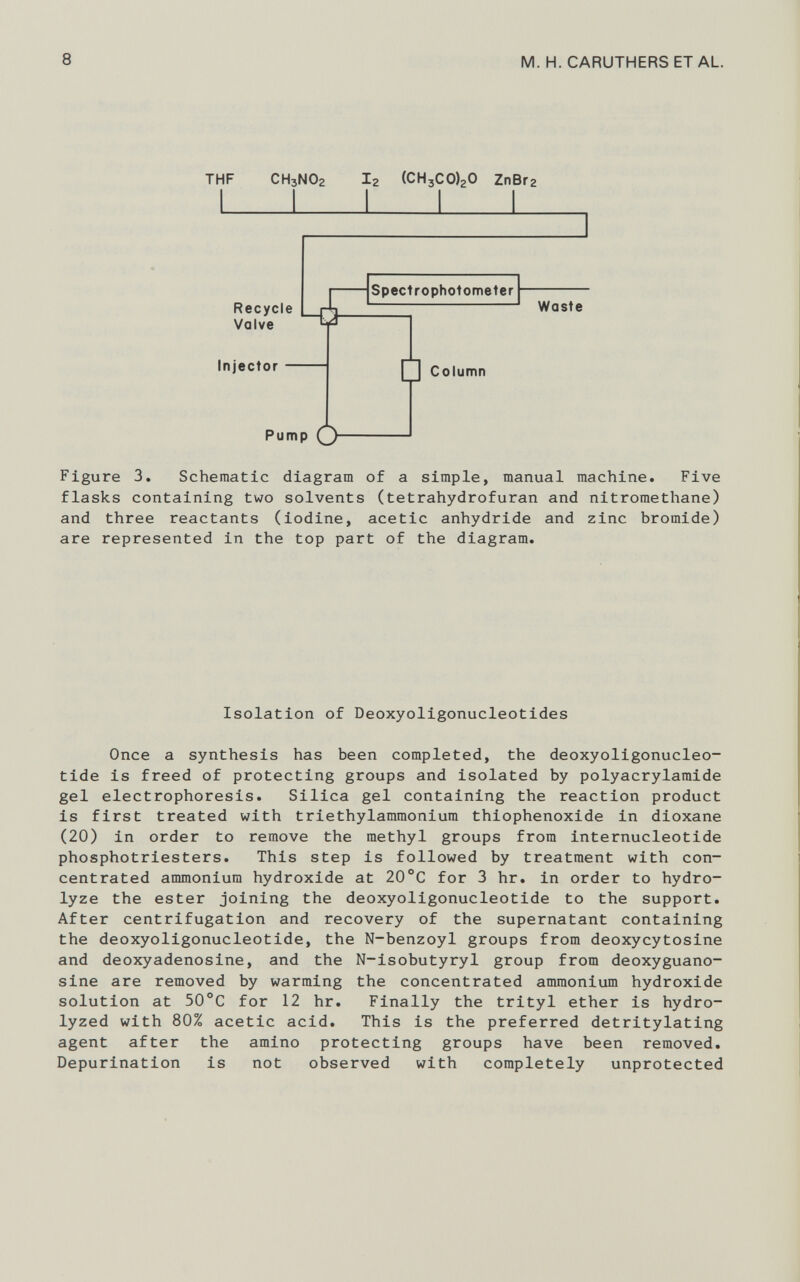 THF CH 3 NO 2 I 2 (CH 3 C 0) 2 0 ZnBr 2 Pump (_) Figure 3. Schematic diagram of a simple, manual machine. Five flasks containing two solvents (tetrahydrofuran and nitromethane) and three reactants (iodine, acetic anhydride and zinc bromide) are represented in the top part of the diagram. Isolation of Deoxyoligonucleotides Once a synthesis has been completed, the deoxyoligonucleo- tide is freed of protecting groups and isolated by polyacrylamide gel electrophoresis. Silica gel containing the reaction product is first treated with triethylammonium thiophenoxide in dioxane ( 20 ) in order to remove the methyl groups from internucleotide phosphotriesters. This step is followed by treatment with con centrated ammonium hydroxide at 20°C for 3 hr. in order to hydro lyze the ester joining the deoxyoligonucleotide to the support. After centrifugation and recovery of the supernatant containing the deoxyoligonucleotide, the N-benzoyl groups from deoxycytosine and deoxyadenosine, and the N-isobutyryl group from deoxyguano- sine are removed by warming the concentrated ammonium hydroxide solution at 50°C for 12 hr. Finally the trityl ether is hydro lyzed with 80% acetic acid. This is the preferred detritylating agent after the amino protecting groups have been removed. Depurination is not observed with completely unprotected