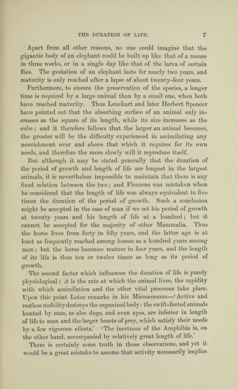 Apart from all other reasons, no one could imagine that the gigantic body of an elephant could be built up like that of a mouse in three weeks, or in a single day like that of the larva of certain flies. The gestation of an elephant lasts for nearly two years, and maturity is only reached after a lapse of about twenty-four years. Furthermore, to ensure the preservation of the species, a longer time is required by a large animal than by a small one, when both have reached maturity. Thus Leuckart and later Herbert Spencer have pointed out that the absorbing surface of an animal only in creases as the square of its length, while its size increases as the cube ; and it therefore follows that the larger an animal becomes, the greater will be the difficulty experienced in assimilating any nourishment over and above that which it requires for its own needs, and therefore the more slowly will it reproduce itself. But although it may be stated generally that the duration of the period of growth and length of life are longest in the largest animals, it is nevertheless impossible to maintain that there is any fixed relation between the two; and Flourens w T as mistaken when he considered that the length of life was always equivalent to five times the duration of the period of growth. Such a conclusion might be accepted in the case of man if we set his period of growth at twenty years and his length of life at a hundred; but it cannot be accepted for the majority of other Mammalia. Thus the horse lives from forty to fifty years, and the latter age is at least as frequently reached among horses as a hundred years among men ; but the horse becomes mature in four years, and the length of its life is thus ten or twelve times as long as its period of growth. The second factor which influences the duration of life is purely physiological: it is the rate at which the animal lives, the rapidity with which assimilation and the other vital processes take place. Upon this point Lotze remarks in his Microcosmus—‘ Active and restless mobility destroys the organized body: the swift-footed animals hunted by man, as also dogs, and even apes, are inferior in length of life to man and the larger beasts of prey, which satisfy their needs by a few vigorous efforts.’ £ The inertness of the Amphibia is, on the other hand, accompanied by relatively great length of life.’ There is certainly some truth in these observations, and yet it would be a great mistake to assume that activity necessarily implies