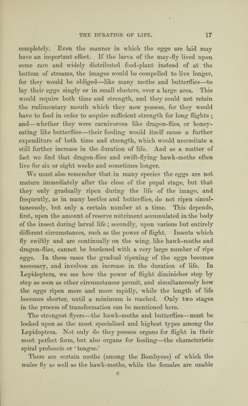 completely. Even the manner in which the eggs are laid may have an important effect. If the larva of the may-fly lived upon some rare and widely distributed food-plant instead of at the bottom of streams, the imagos would be compelled to live longer, for they would be obliged—like many moths and butterflies—to lay their eggs singly or in small clusters, over a large area. This would require both time and strength, and they could not retain the rudimentary mouth which they now possess, for they would have to feed in order to acquire sufficient strength for long flights ; and—whether they were carnivorous like dragon-flies, or honey eating like butterflies—their feeding would itself cause a further expenditure of both time and strength, which would necessitate a still further increase in the duration of life. And as a matter of fact we find that dragon-flies and swift-flying hawk-moths often live for six or eight weeks and sometimes longer. We must also remember that in many species the eggs are not mature immediately after the close of the pupal stage, but that they only gradually ripen during the life of the imago, and frequently, as in many beetles and butterflies, do not ripen simul taneously, but only a certain number at a time. This depends, first, upon the amount of reserve nutriment accumulated in the body of the insect during larval life ; secondly, upon various but entirely different circumstances, such as the power of flight. Insects wdiich fly swiftly and are continually on the wing, like hawk-moths and dragon-flies, cannot be burdened with a very large number of ripe eggs. In these cases the gradual ripening of the eggs becomes necessary, and involves an increase in the duration of life. In Lepidoptera, we see how the power of flight diminishes step by step as soon as other circumstances permit, and simultaneously how the eggs ripen more and more rapidly, while the length of life becomes shorter, until a minimum is reached. Only two stages in the process of transformation can be mentioned here. The strongest flyers—the hawk-moths and butterflies—must be looked upon as the- most specialised and highest types among the Lepidoptera. Not only do they possess organs for flight in their most perfect form, but also organs for feeding—the characteristic spiral proboscis or £ tongue.’ There are certain moths (among the Bombyces) of which the males fly as well as the hawk-moths, while the females are unable c